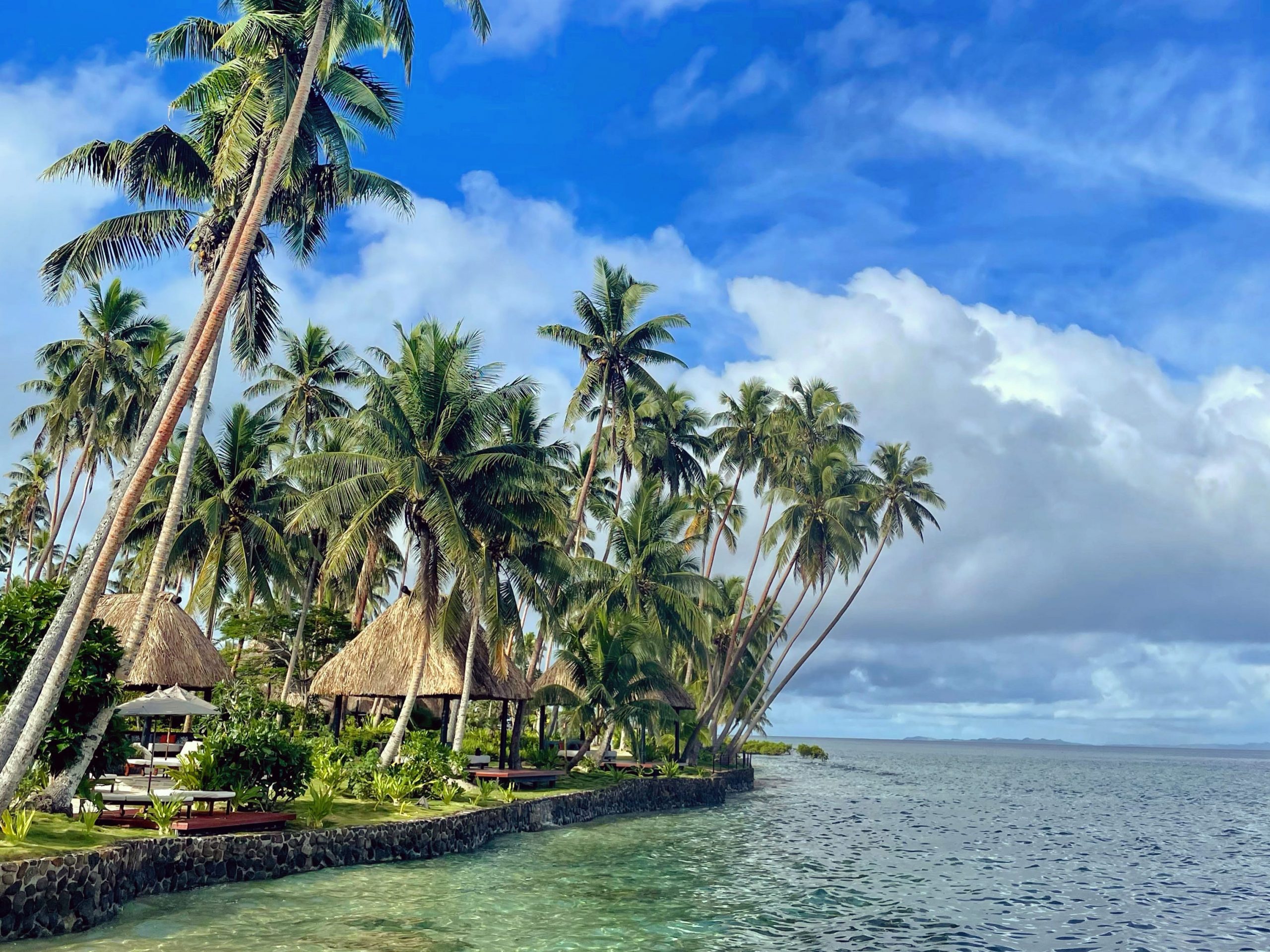 palm trees and bures on the edge of an island in Fiji