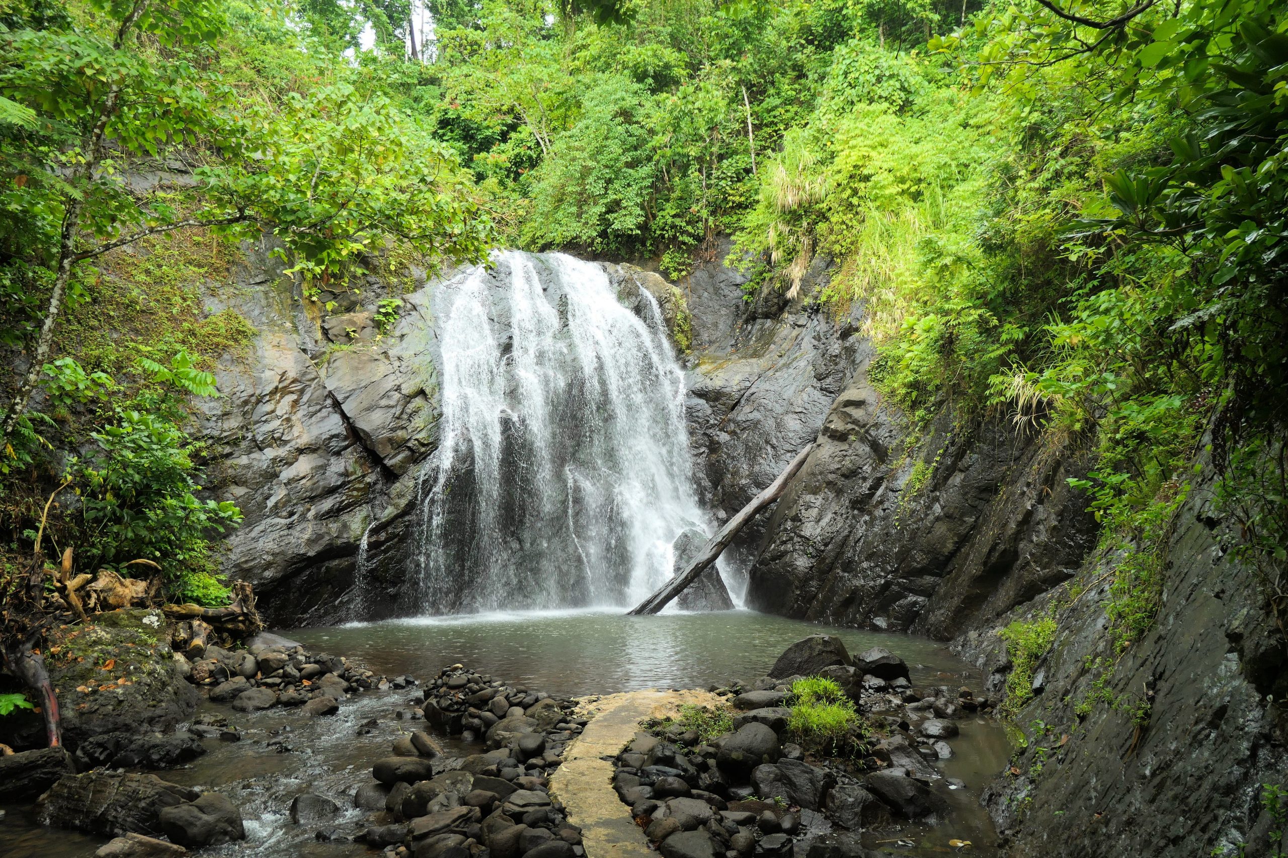 A waterfall in Fiji surrounded by greenery