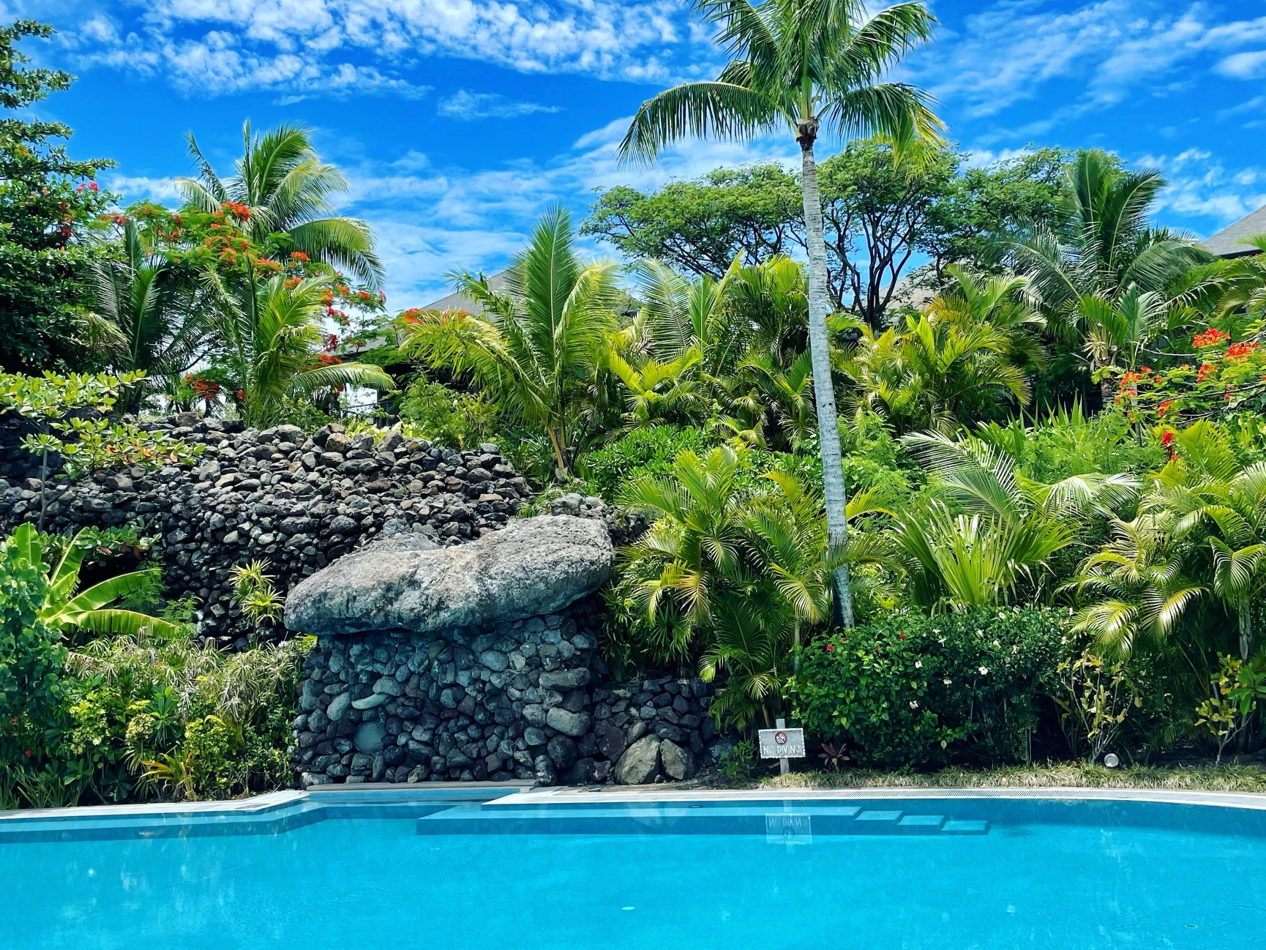 trees and blue water in fiji