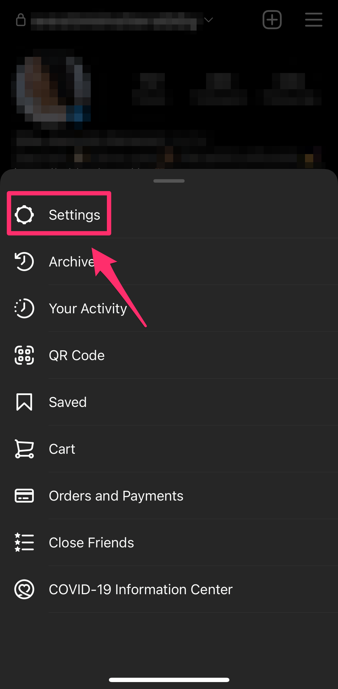 Instagram profile page with the Settings option highlighted