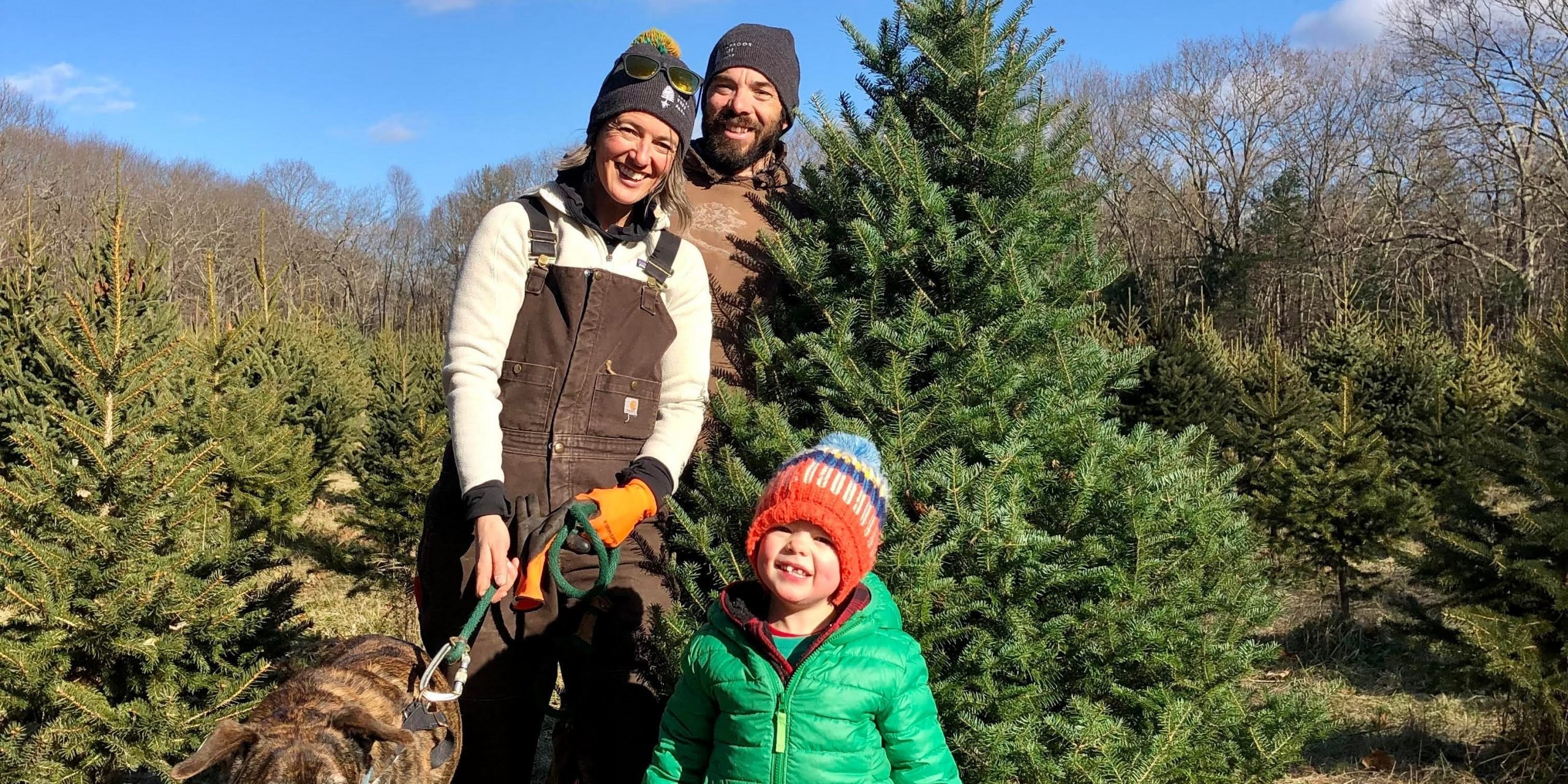 Jesse, Jamie, and Simon Steadman