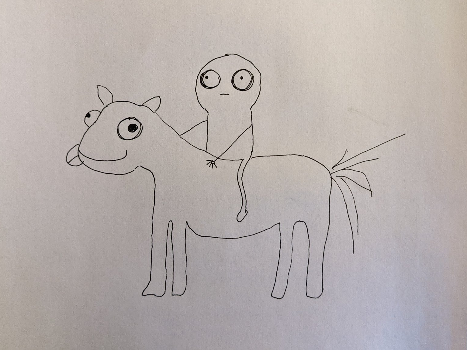 Man on a horse - "Declaration by Chef Floriano Pellegrino,"