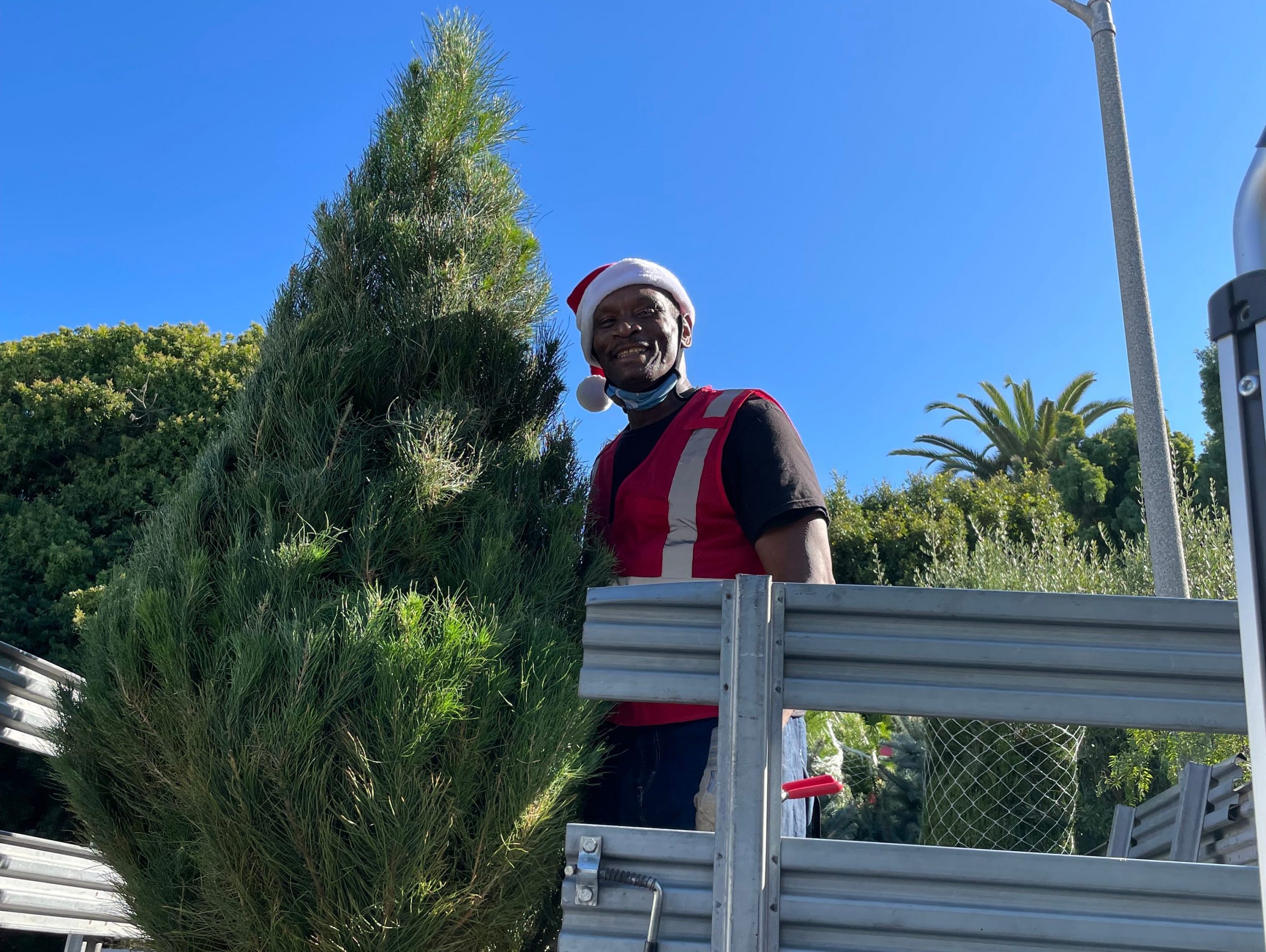 The Living Christmas Company Employee JB out delivering trees.