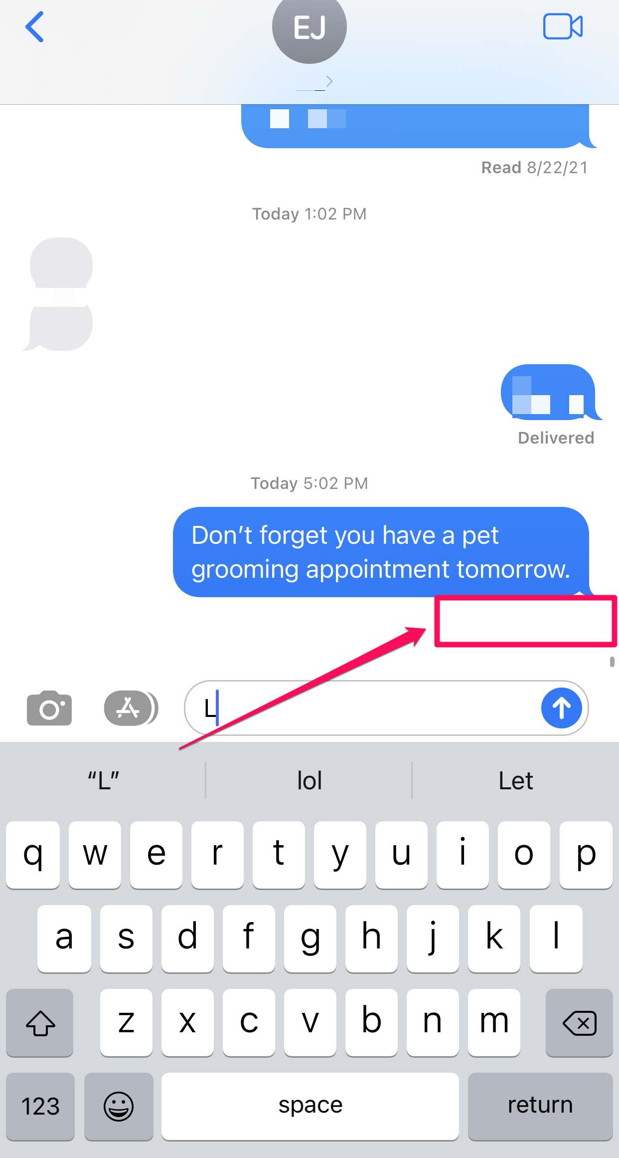 The Messages app for iOS