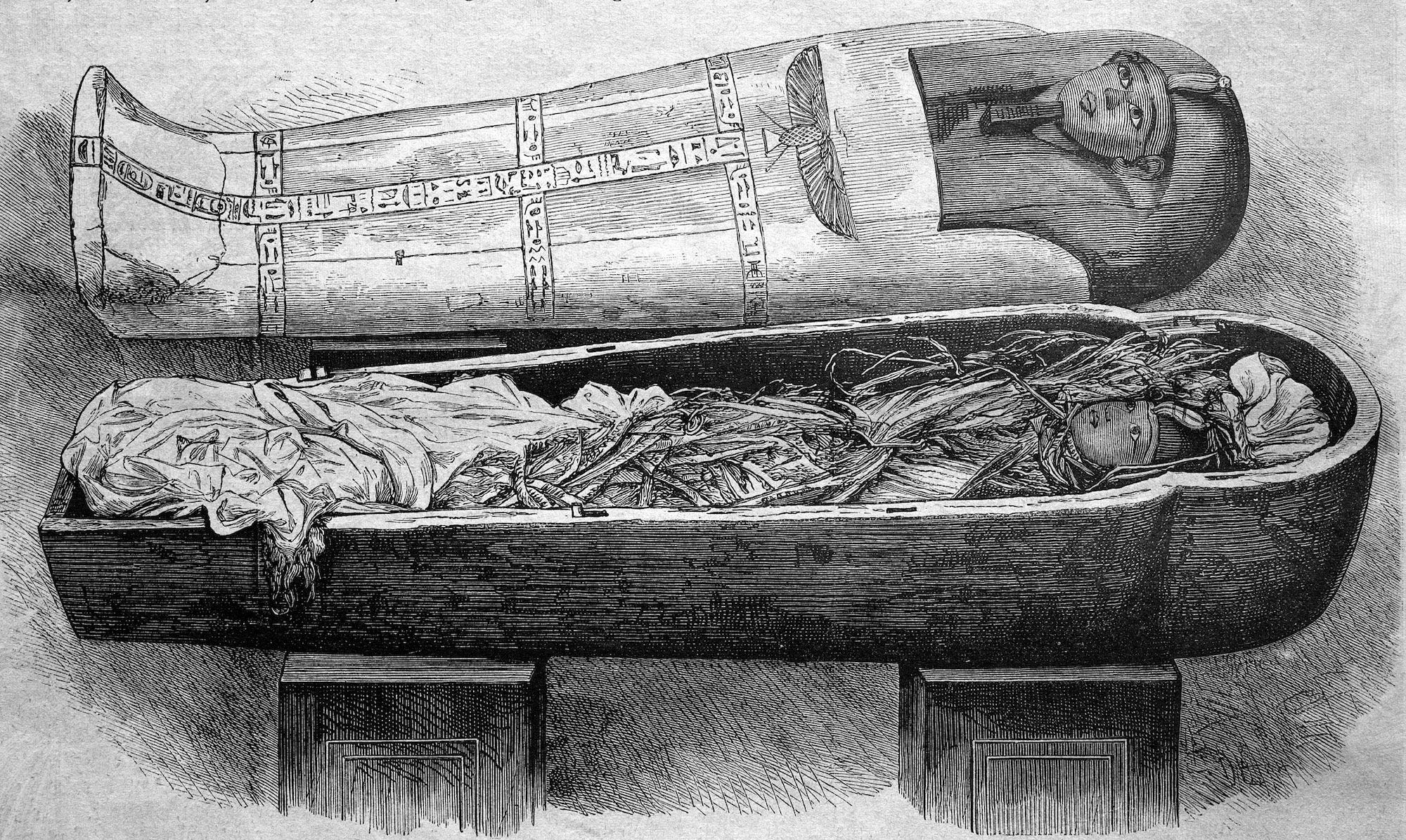 a black and white sketch of Amenhotep's sarcophagus is pictured opened to reveal the wrapped body inside.