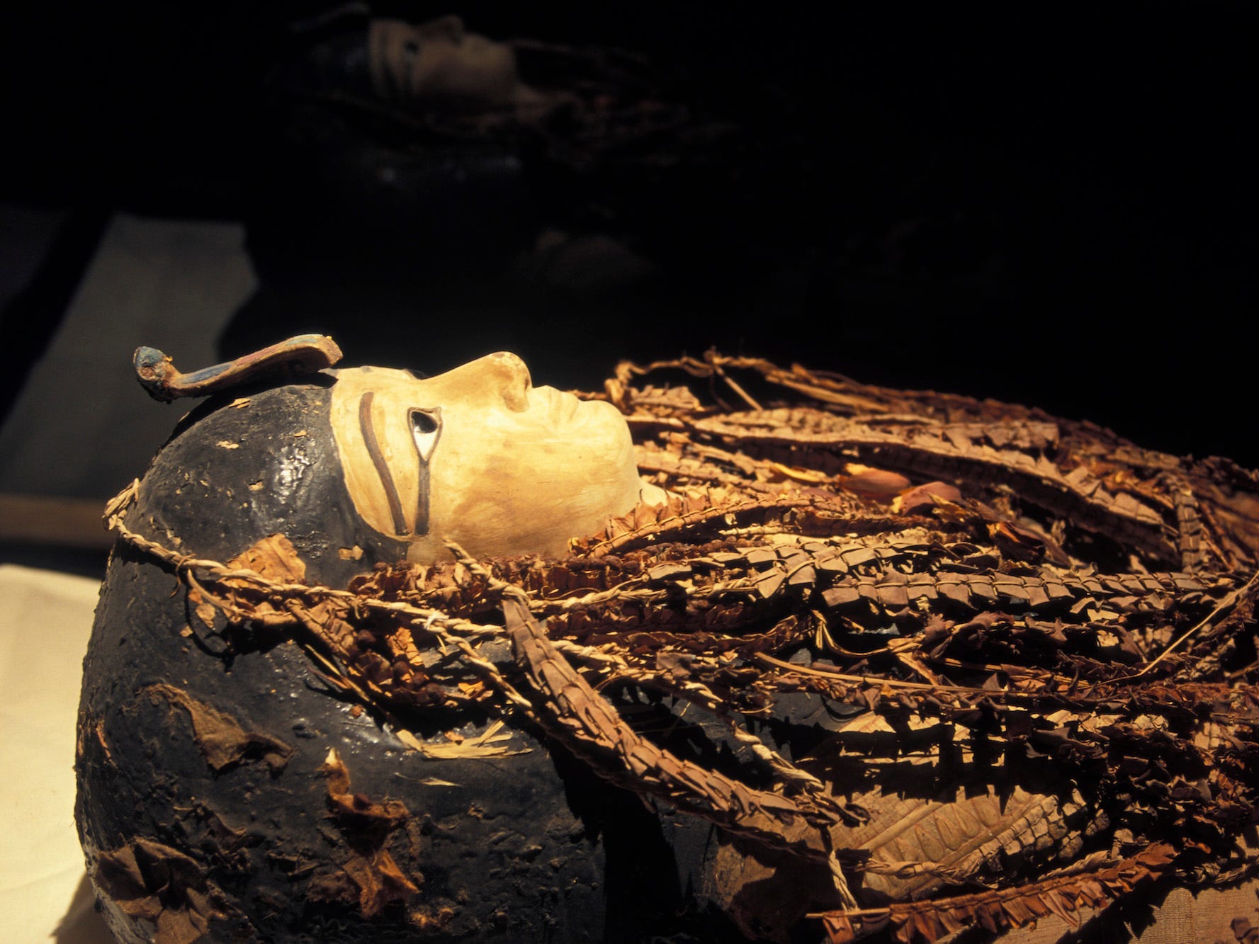 A picture of Amenhotep's mummy, as seen in the Cairo museum.