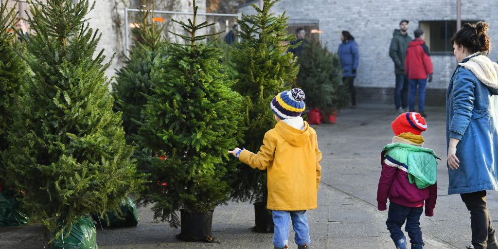 Klanten komen een kerstboom halen bij Huur een Kerstboom in Utrecht.