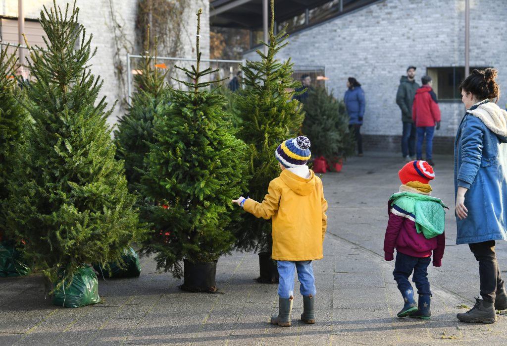 Klanten komen een kerstboom halen bij Huur een Kerstboom in Utrecht.