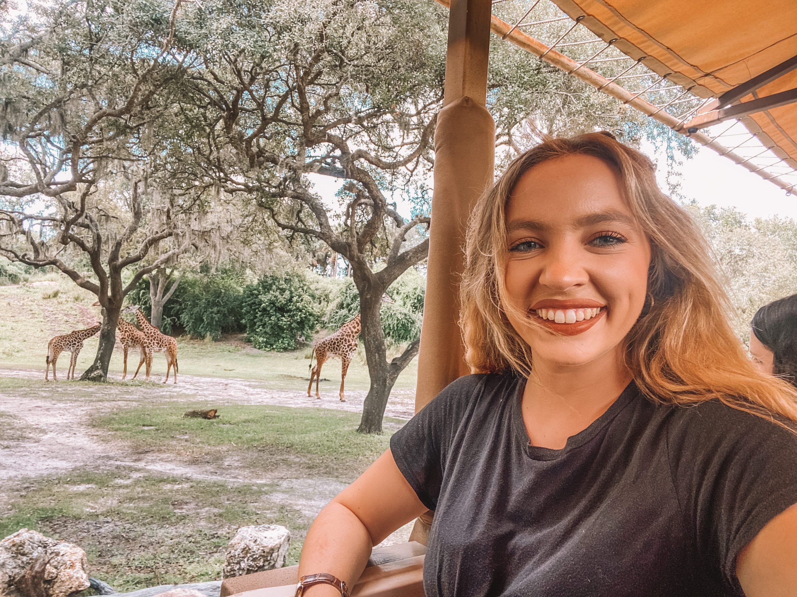 kayleigh price riding kilimanjaro safari at animal kingdom in disney world