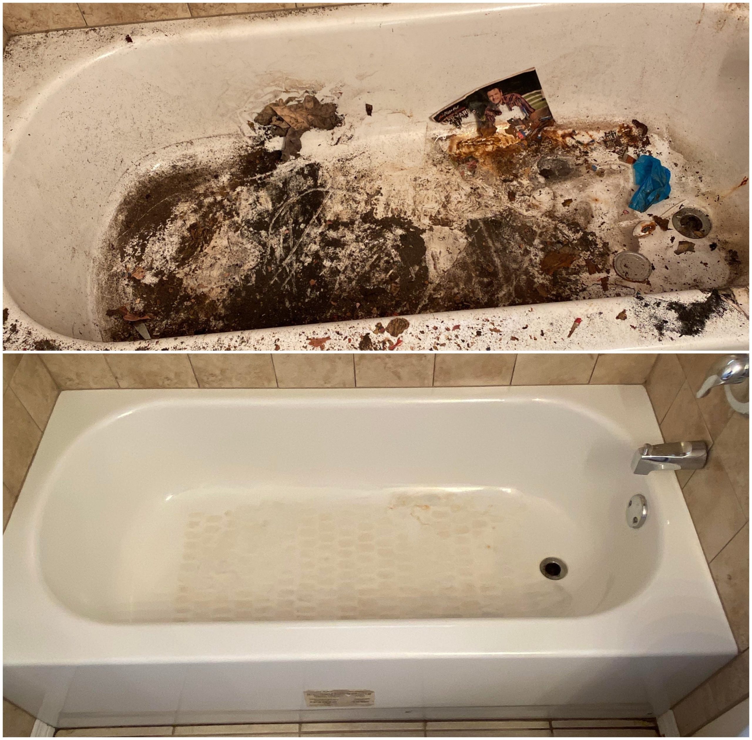 Before and after photos of a bathtub cleaned by a hoarding technician