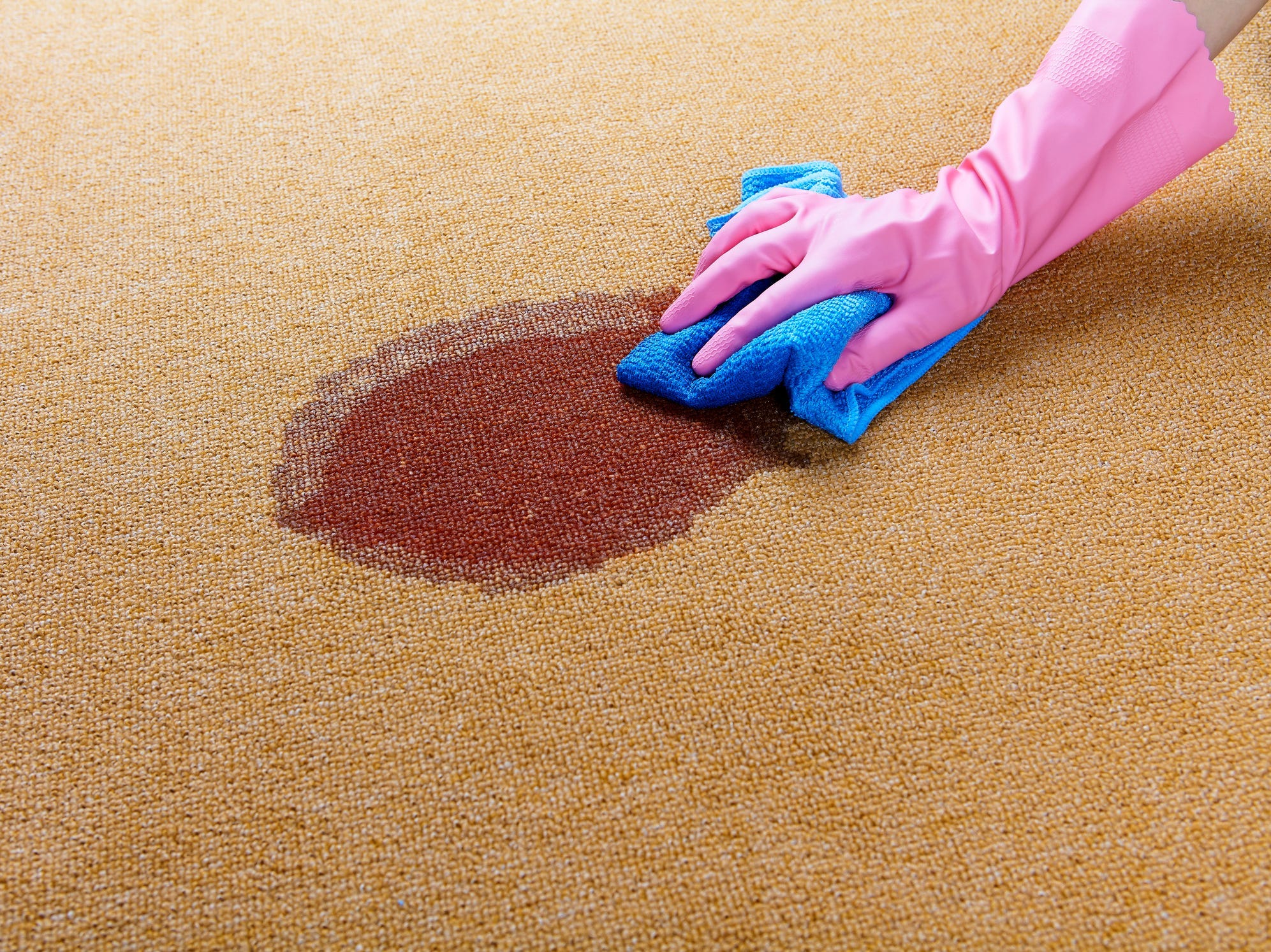 Gloved hand cleaning a wet spot on floor.