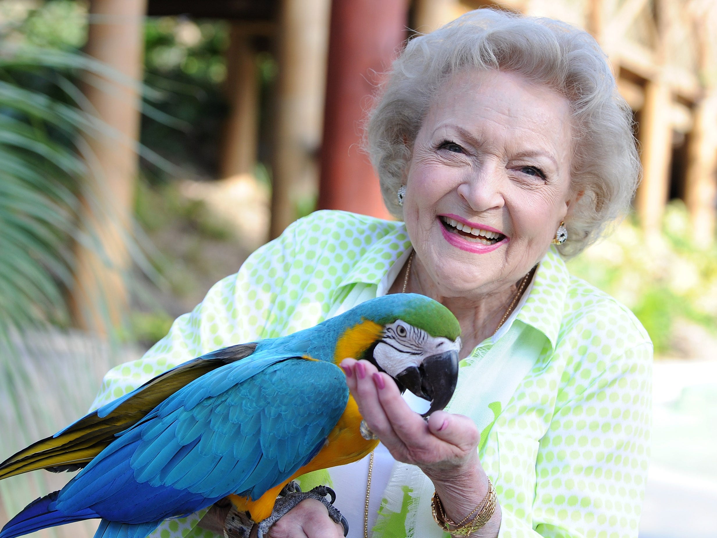 etty White attends the Greater Los Angeles Zoo Association's (GLAZA) 44th Annual Beastly Ball at Los Angeles Zoo in 2014.