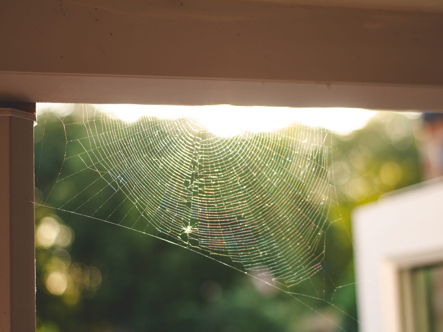 A spiderweb on the corner of a doorframe