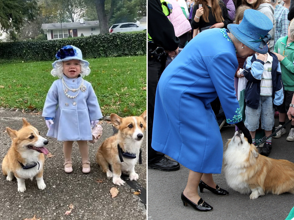 Jalayne Sutherland dressed as Queen Elizabeth and trick-or-treated with her beloved corgis.