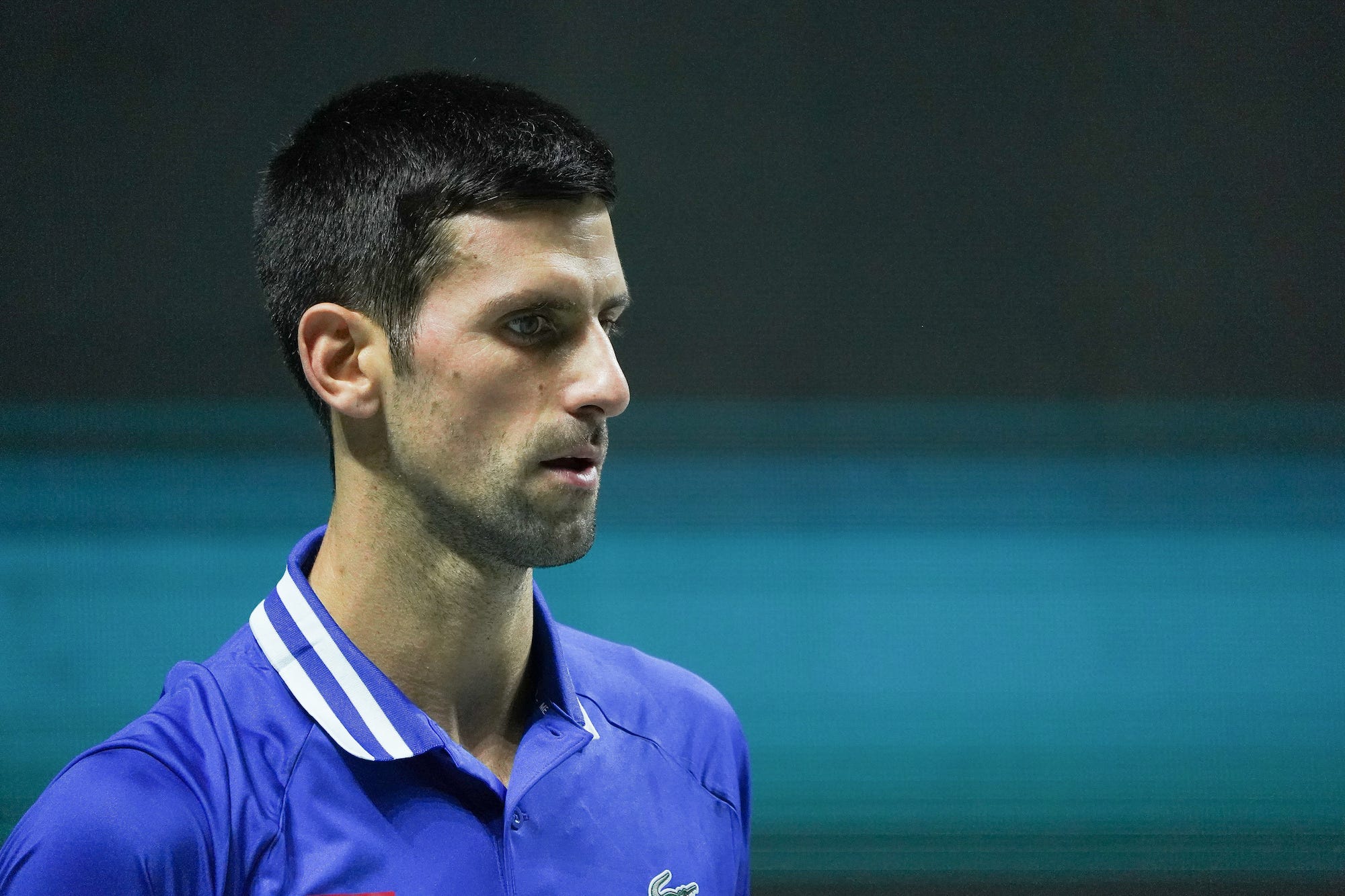 Novak Djokovic at Davis Cup Finals 2021