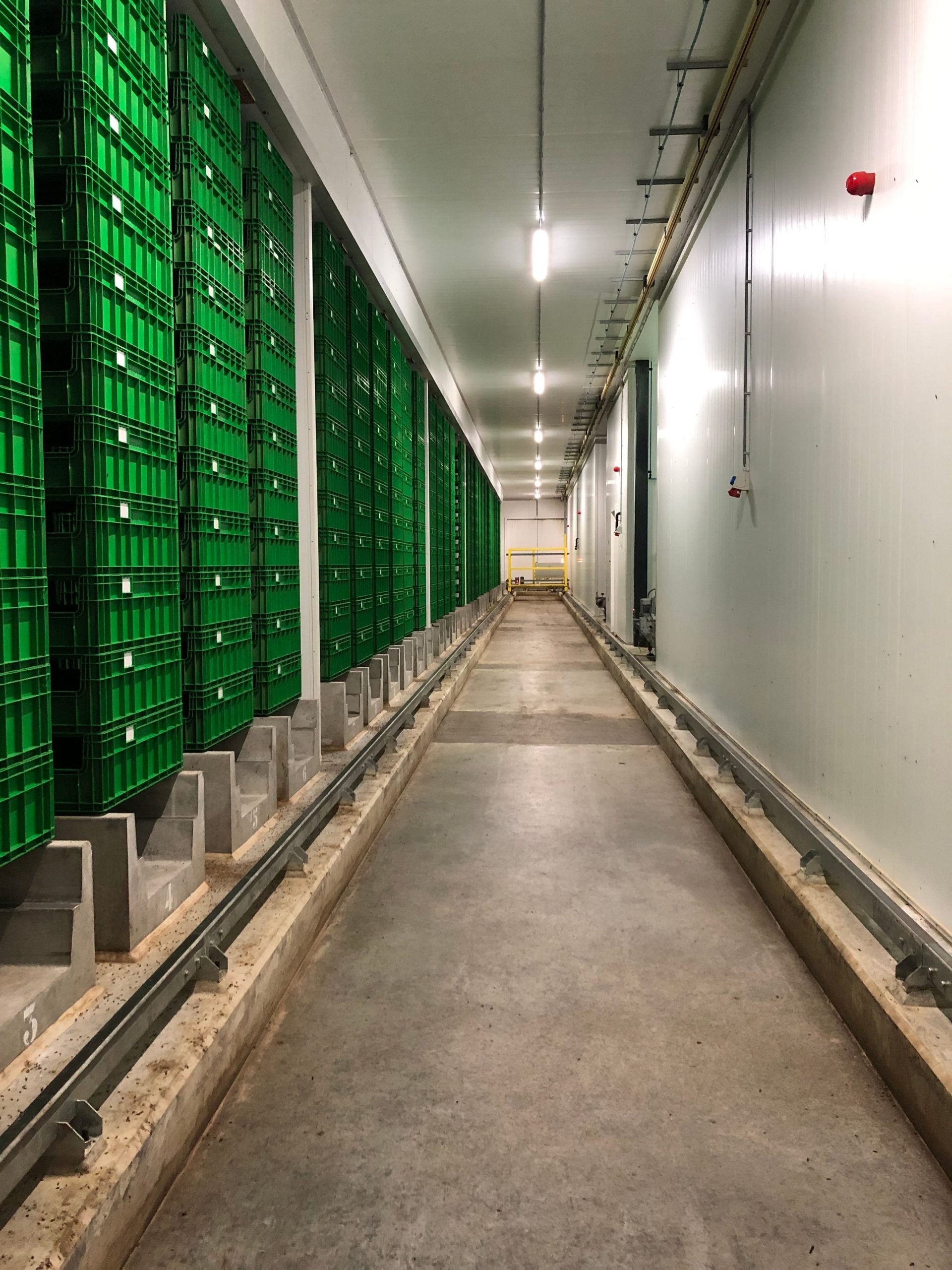 Vertical stacks of crates alongside one side of a long indoor corridor