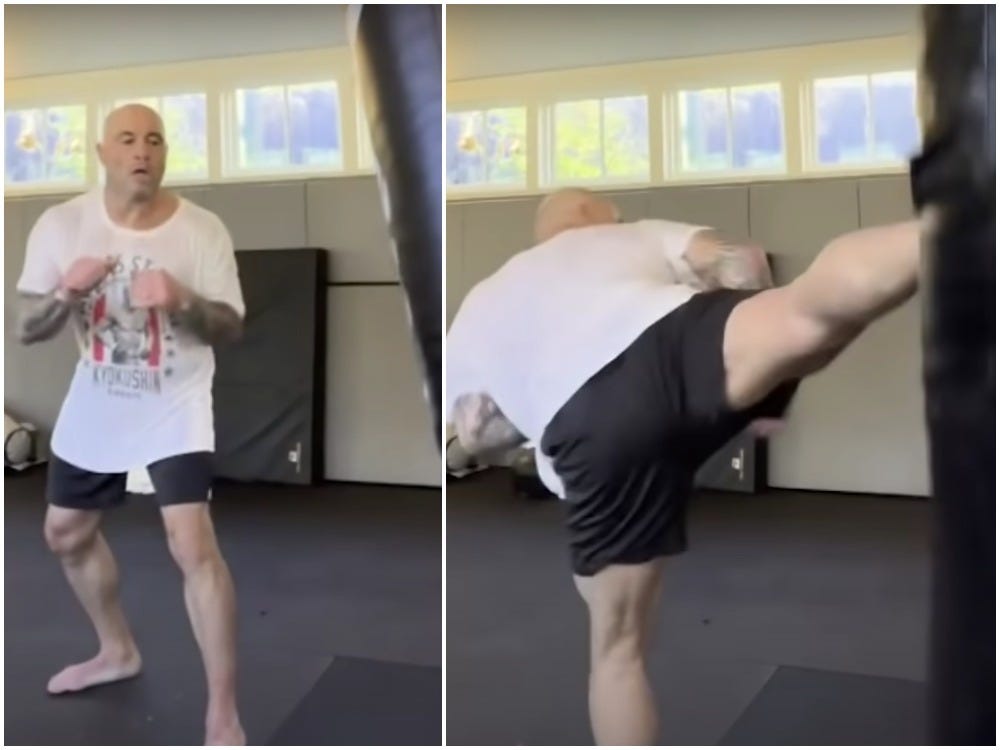 Joe Rogan throws spinning back kicks in a new training video.