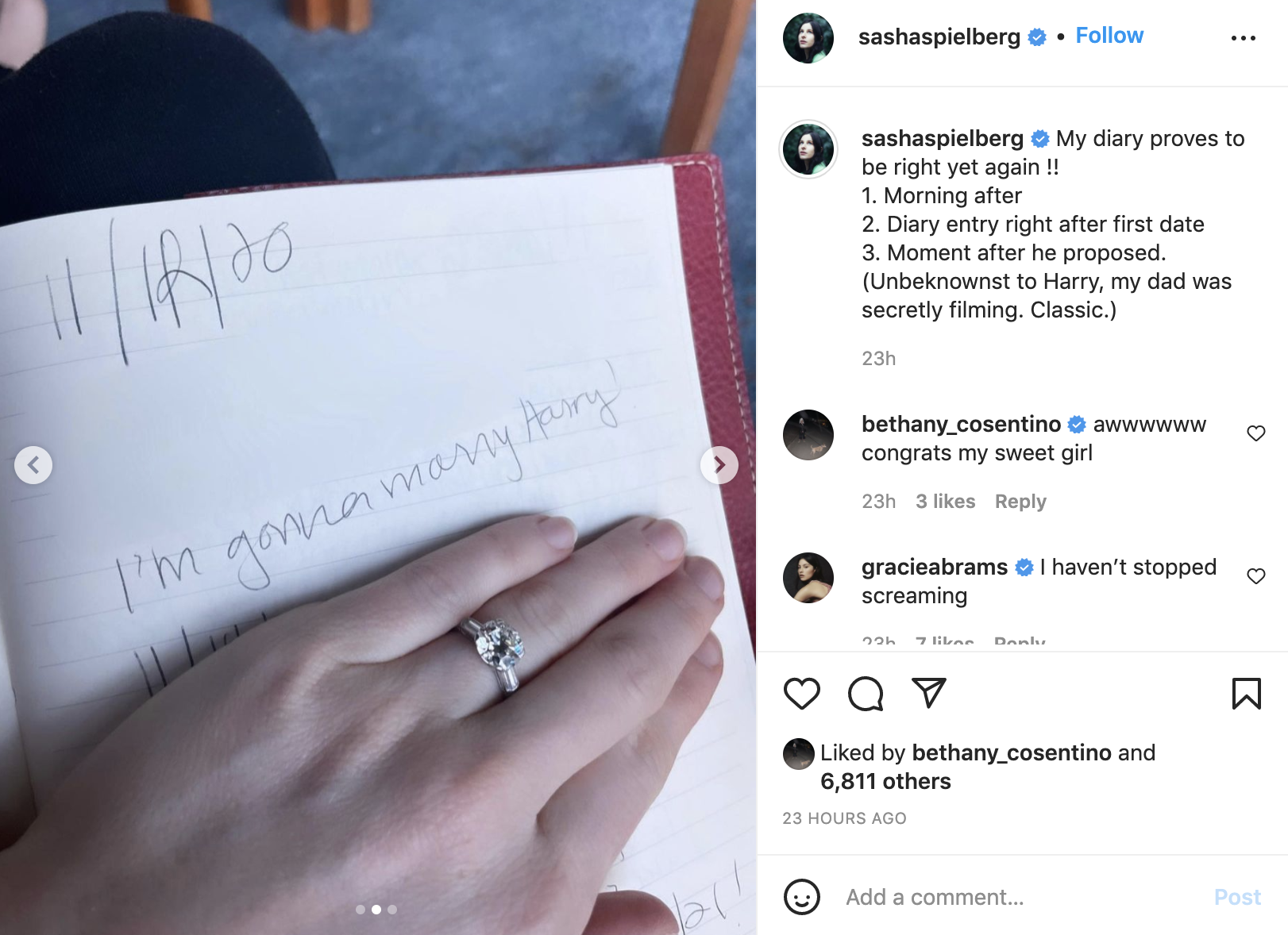 Sasha Spielberg shared this photo of her diary from 2020 on Instagram.