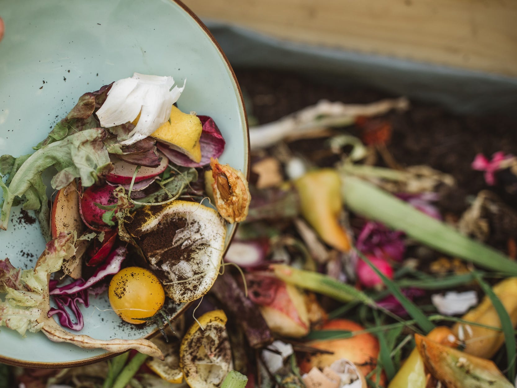 How to compost