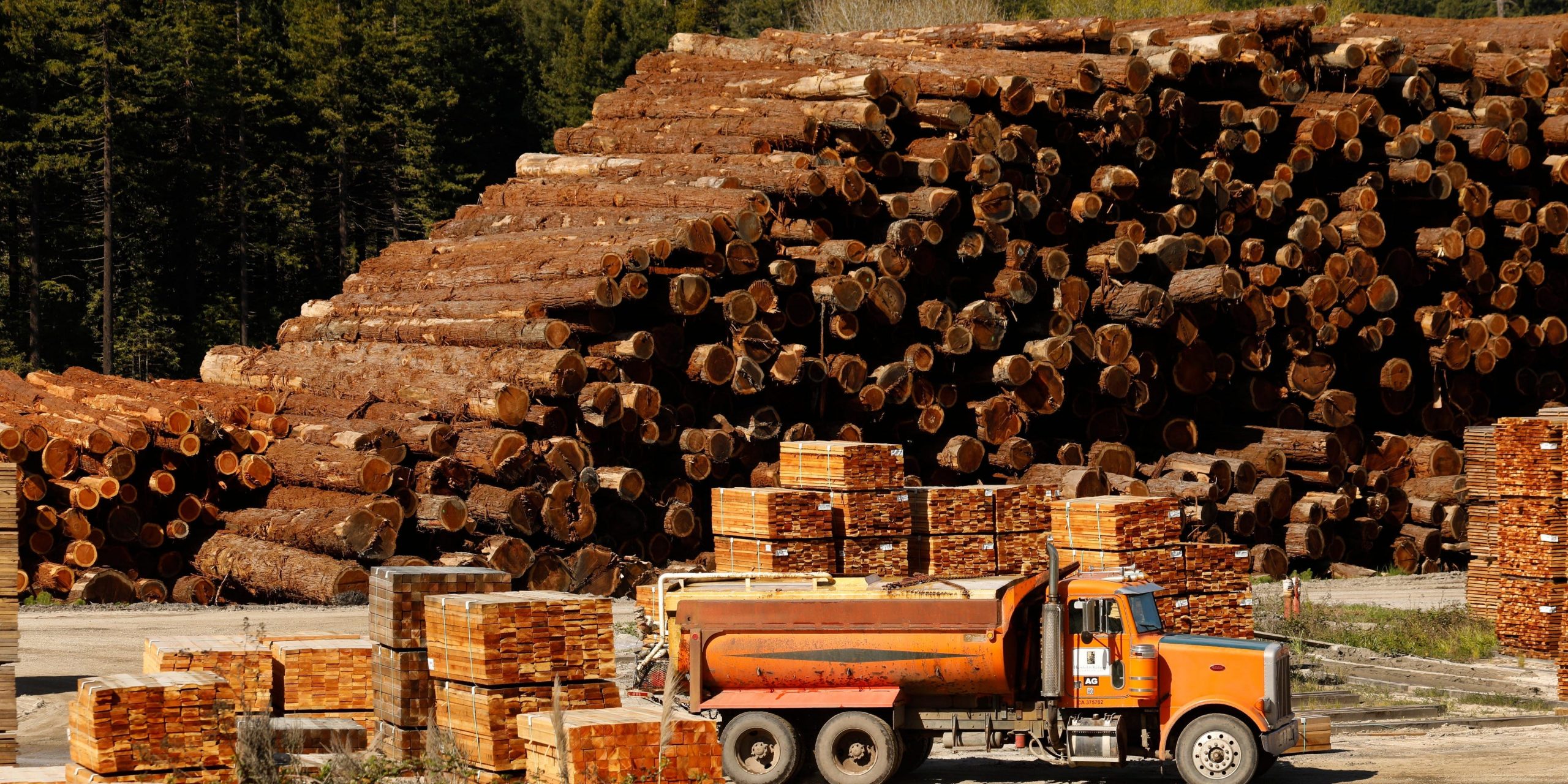 Lumber prices sawmill US logs wood