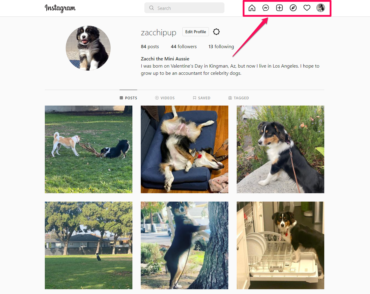 instagram web