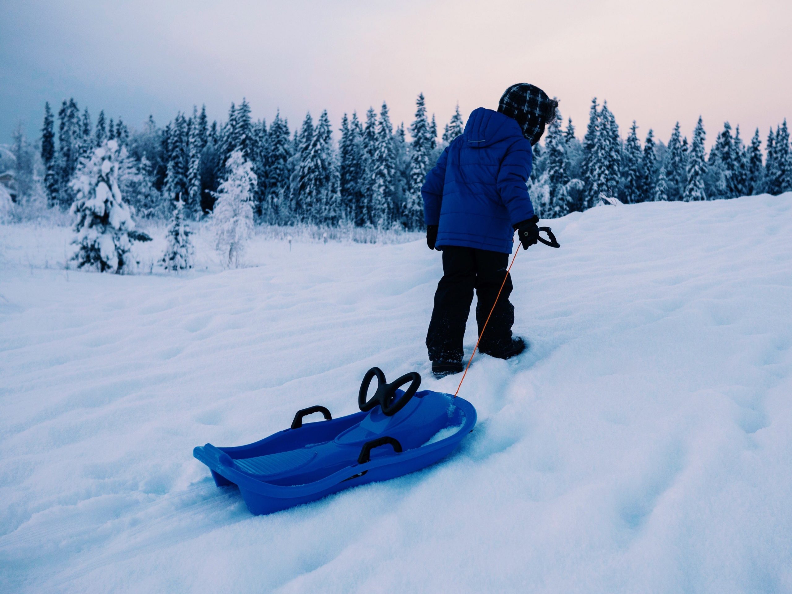 Rear View Of Boy Pulling Sleigh On Snowy Field