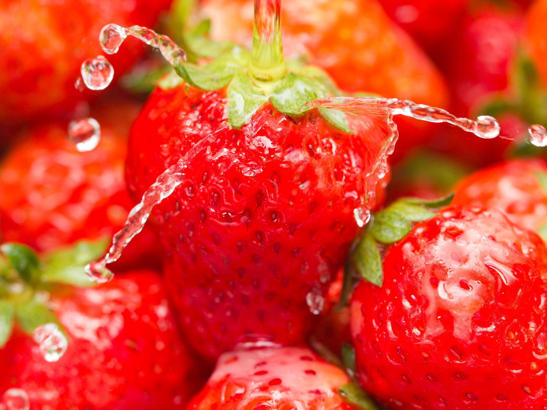 Close up of strawberries with water on them