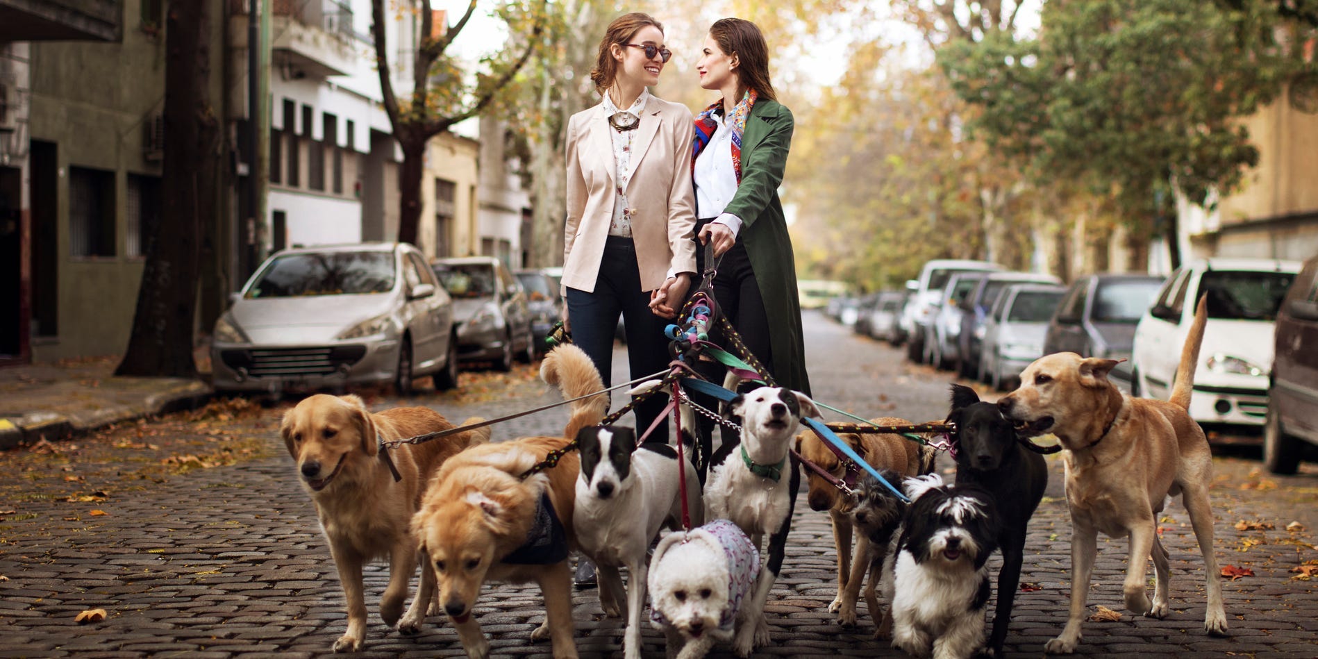 Two women walk nine dogs and look at each other lovingly.