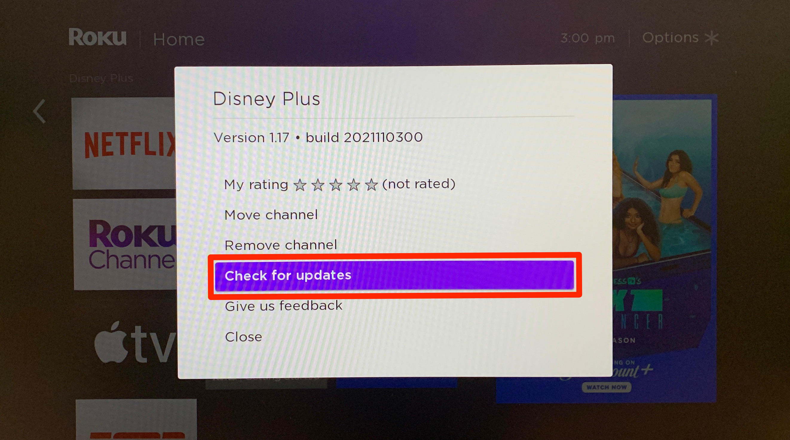 A menu that lets you update the Disney Plus app on a Roku device.