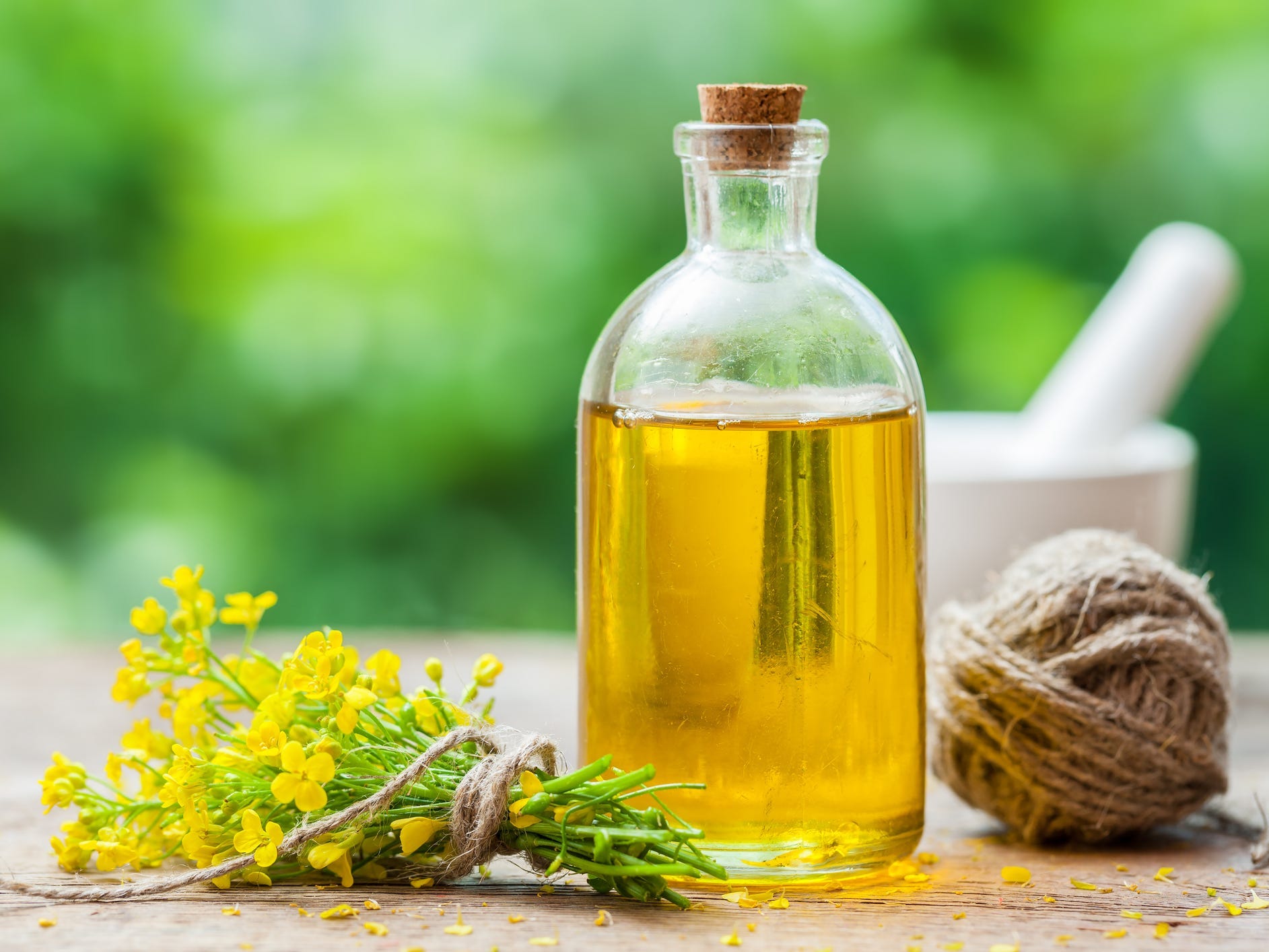 bottle of canola oil next to rapeseed (canola) plant flowers