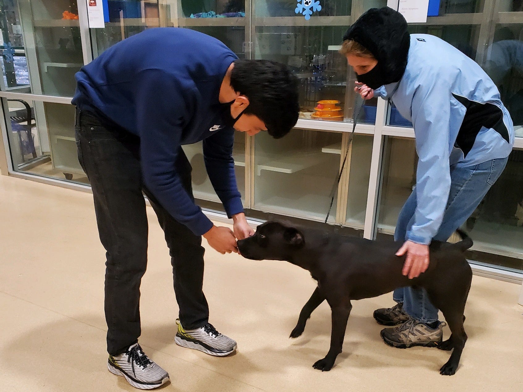 Russ being reunited with his owner after being missing for 4 months