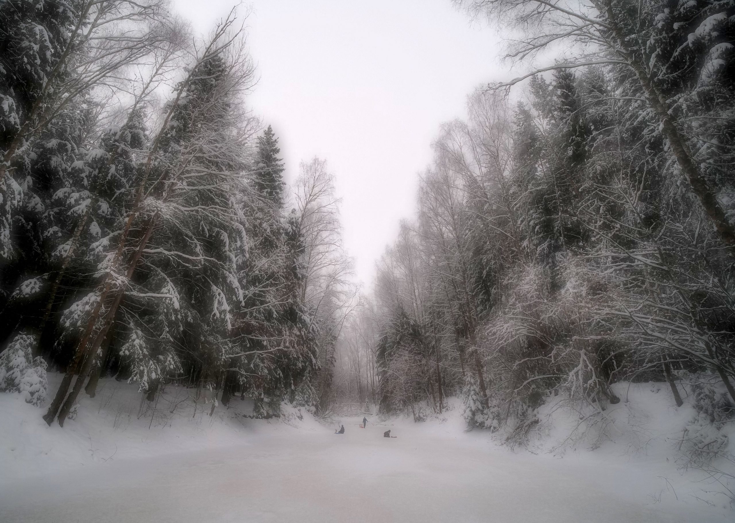 Children play on the ice of a frozen pond in the forest near the village of Tro