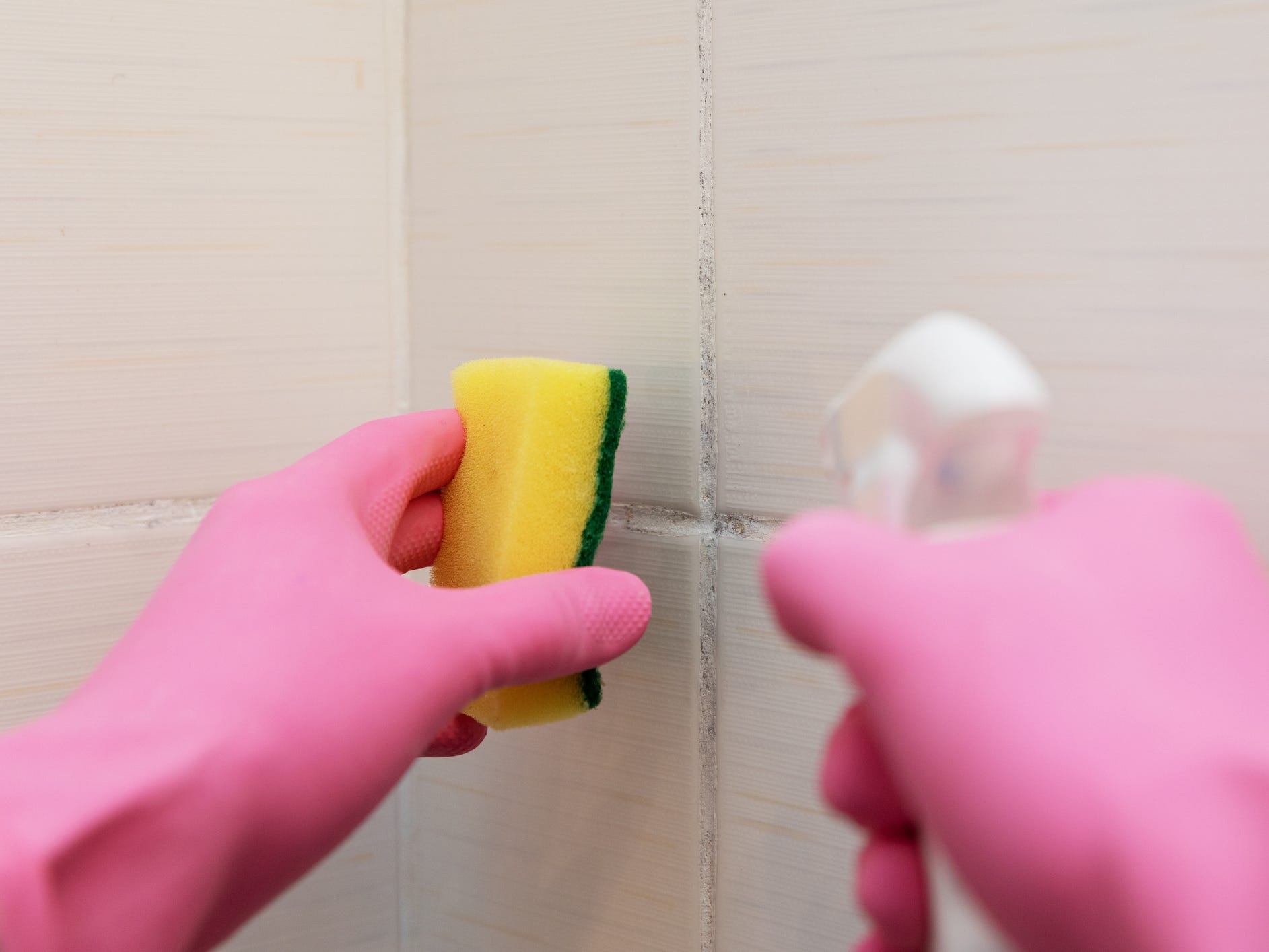 A pair of hands wearing pink cleaning gloves using a sponge and spray bottle to clean grout