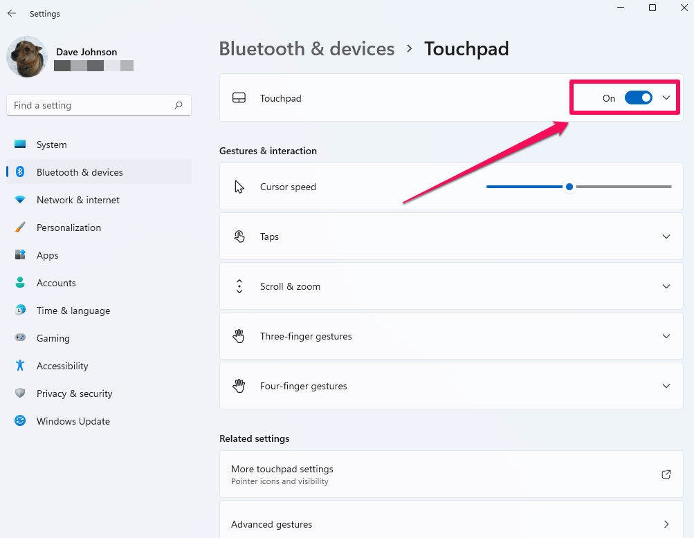 Touchpad settings in Windows.