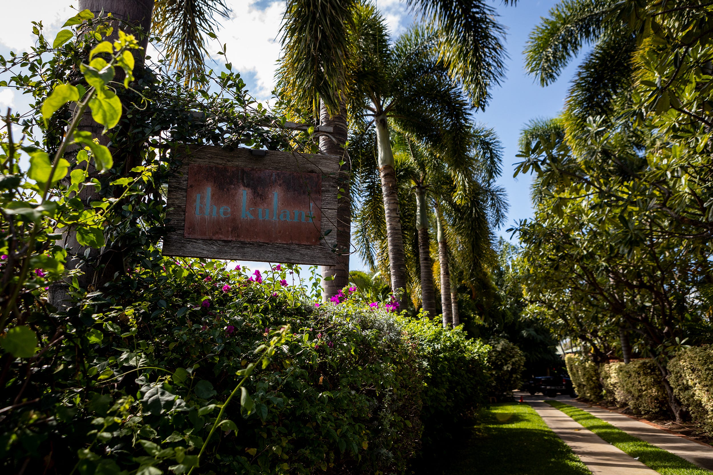 A resort surrounded by trees.