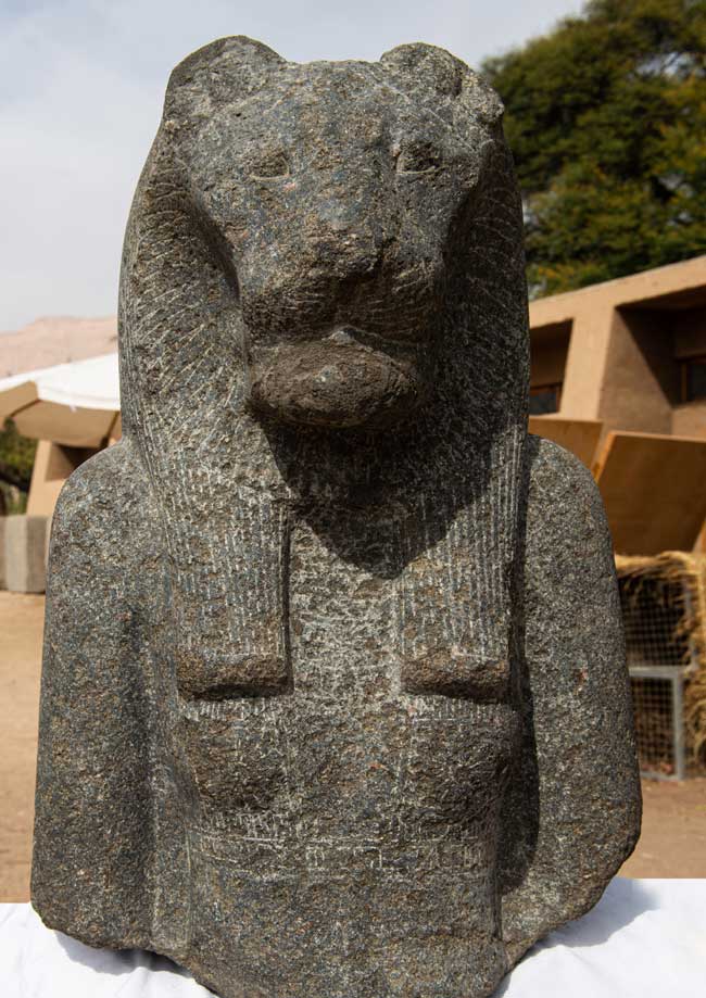 A granite bust of the goddess Sekhmet, a goddess of war also associated with healing who is often depicted as part lion.