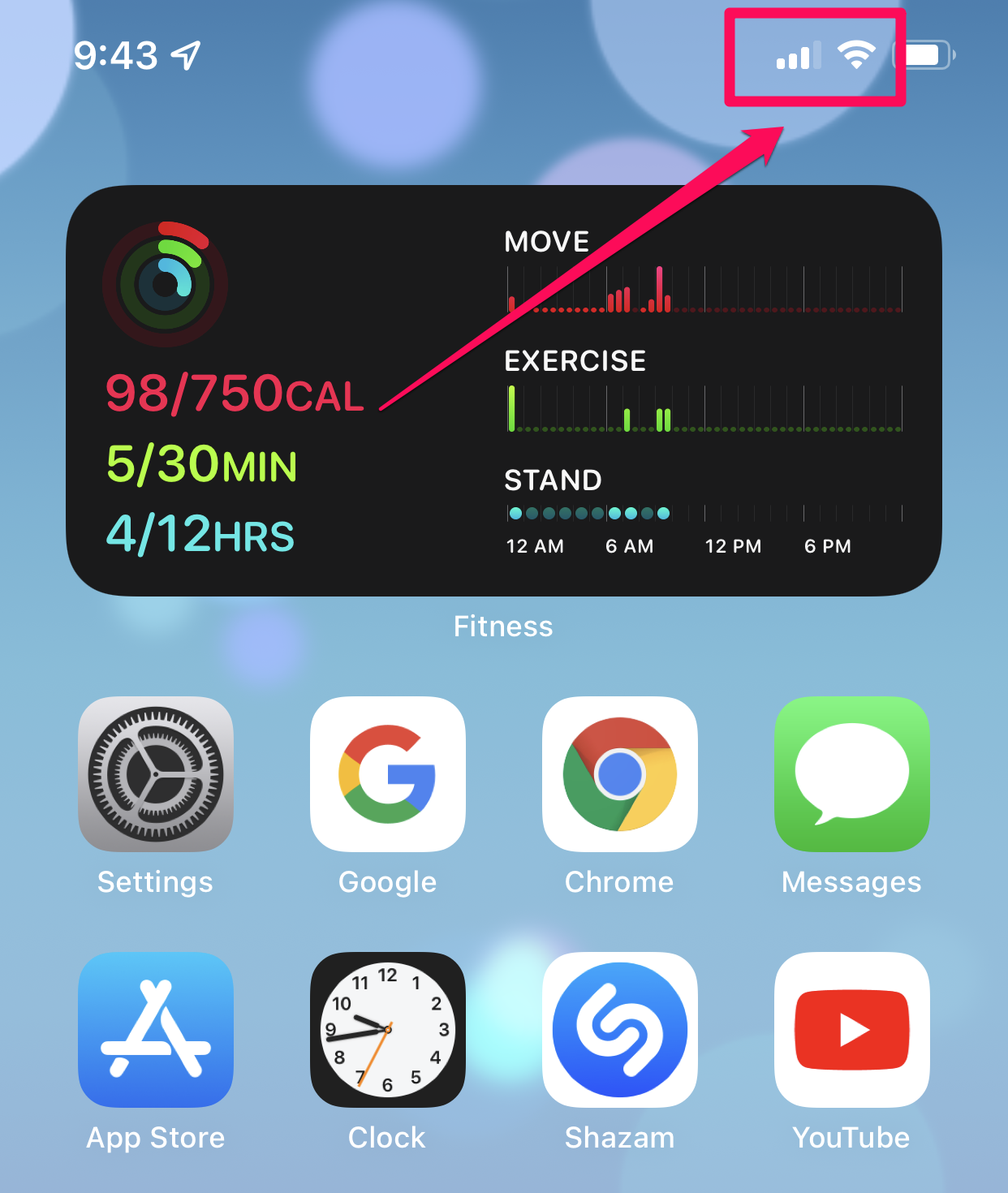WiFi and cellular status on iPhone