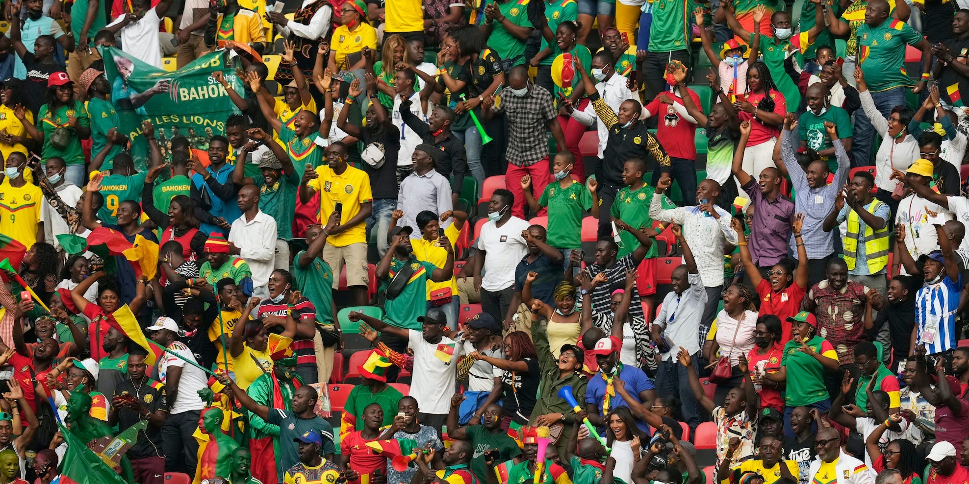 Cameroon football fans celebrate in stadium stands