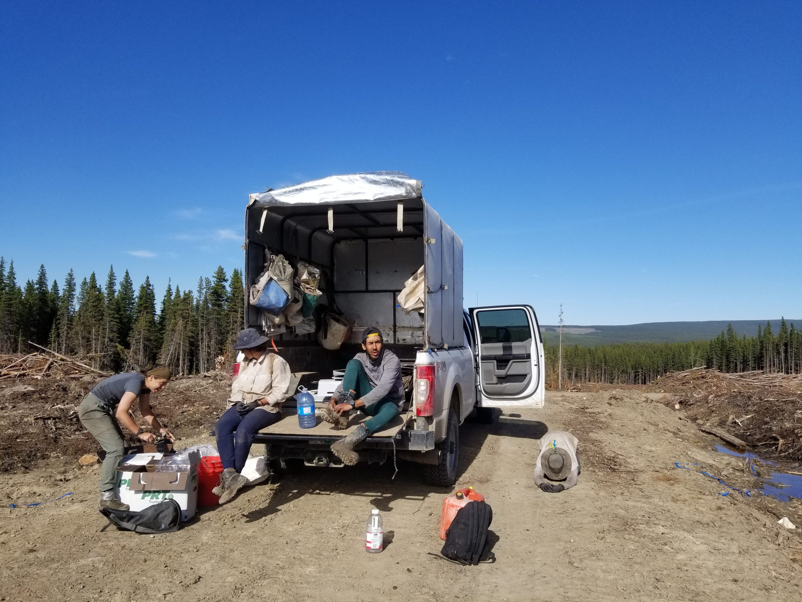 Tess Harold and her coworkers getting ready to plant trees