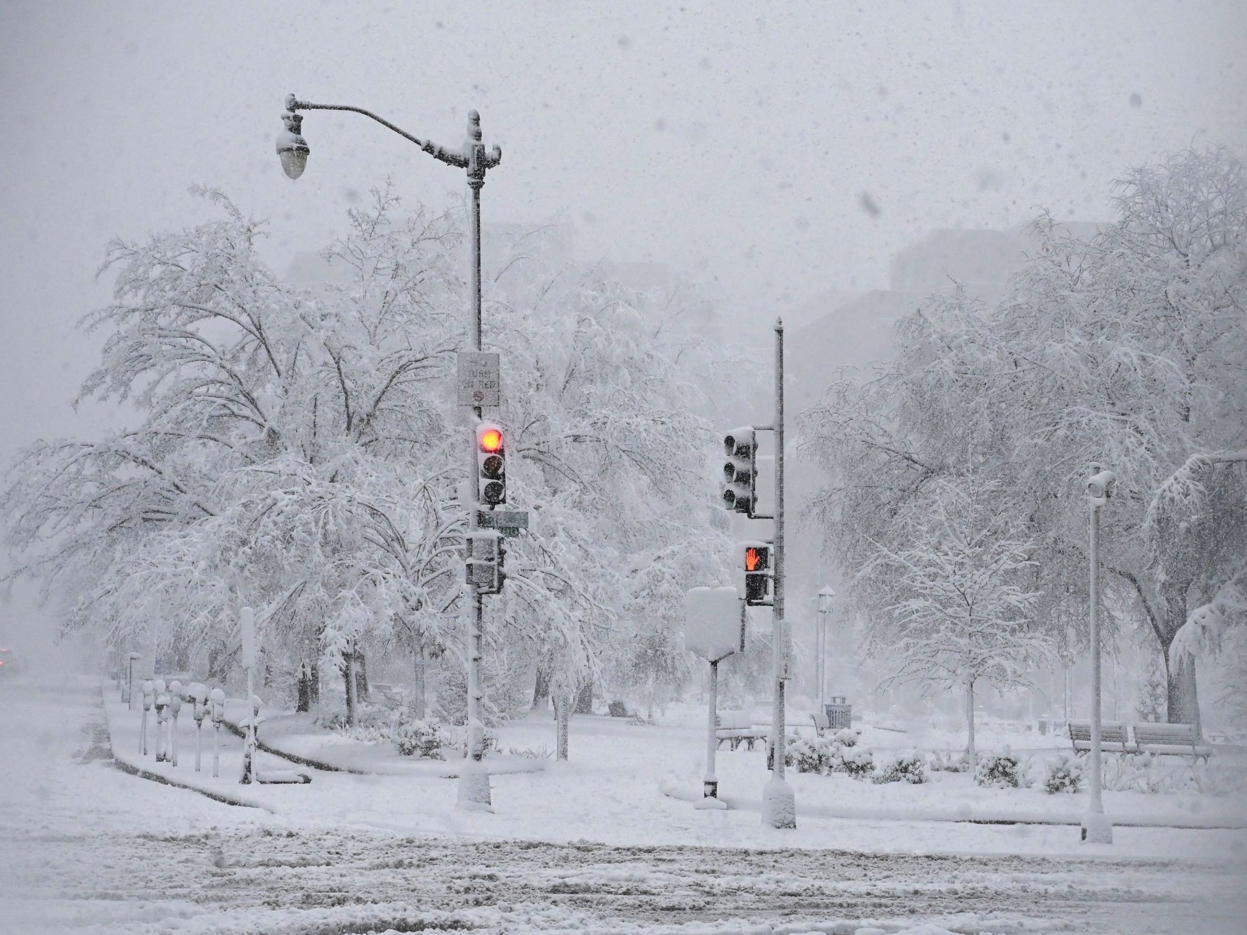 Snow falls during a winter storm over the capital region on January 3, 2022 in Washington, DC.