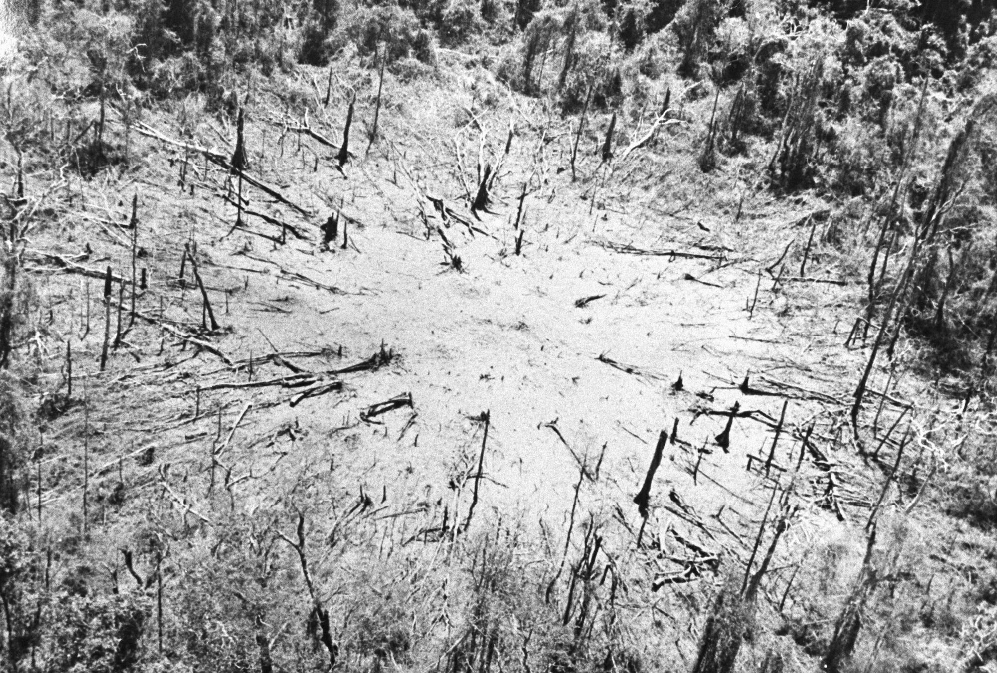 Vietnam war helicopter landing zone in jungle
