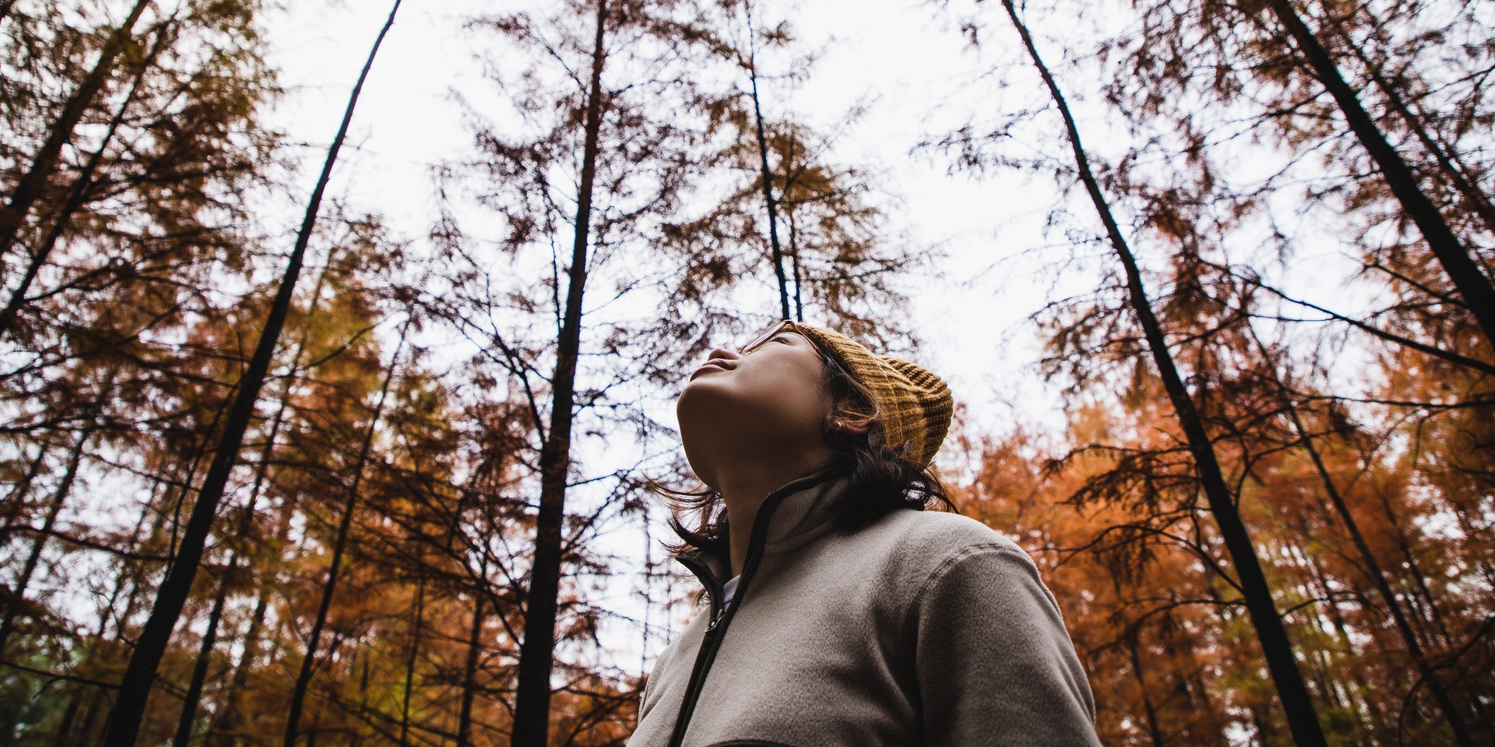 A woman takes a break and goes for a walk in the woods, stopping to gaze up at the sky peacefully.