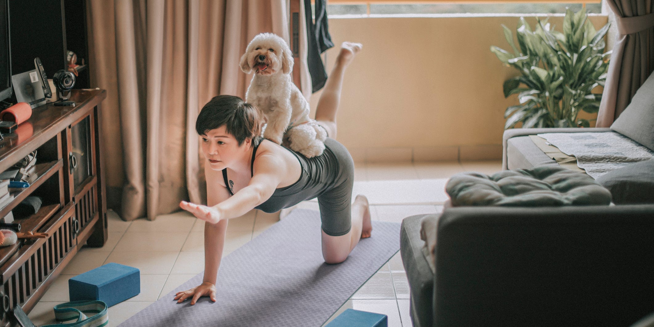 A woman does a bird dog exercise in her living room while her dog sits on top of her.