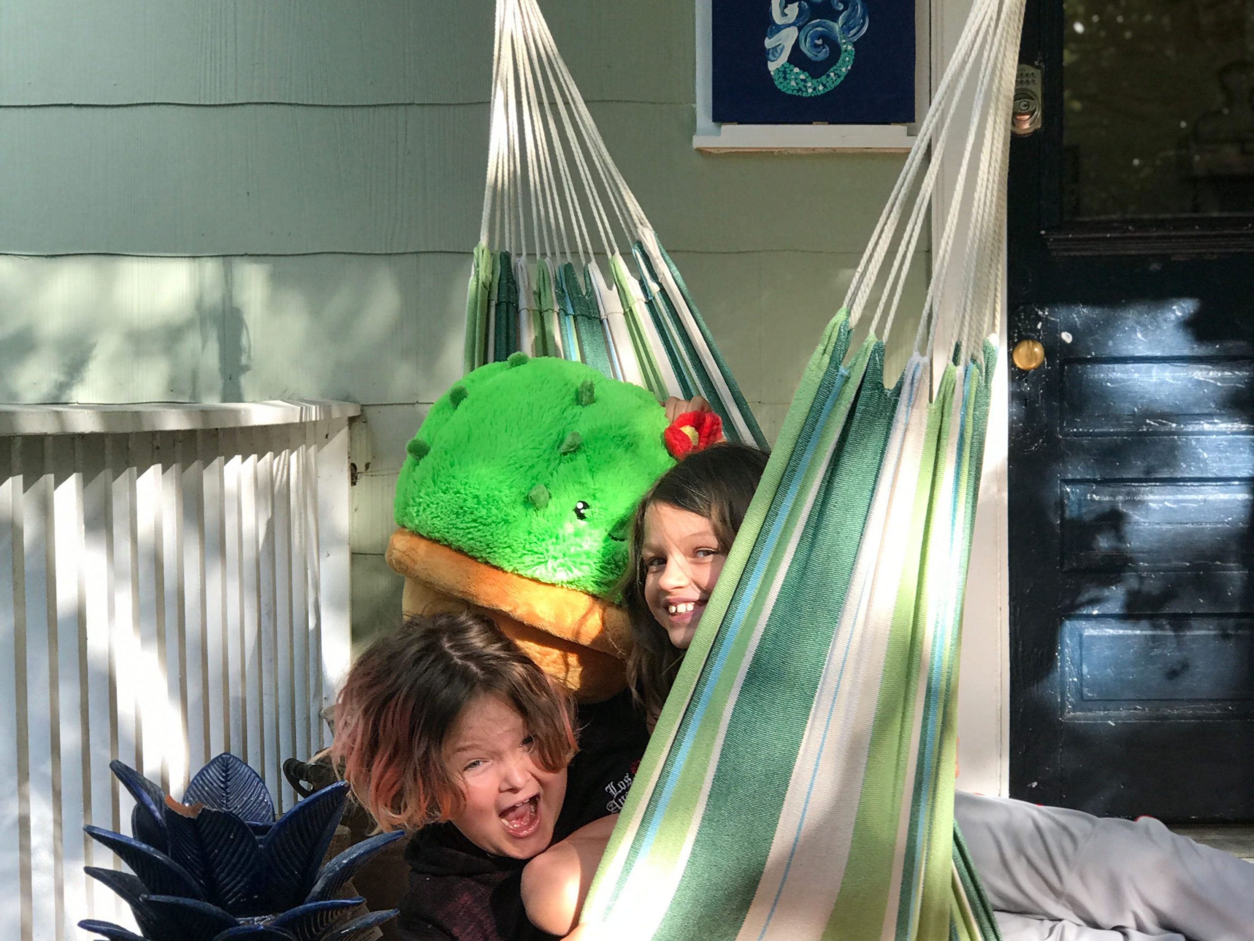 Kids hanging out on a hammock