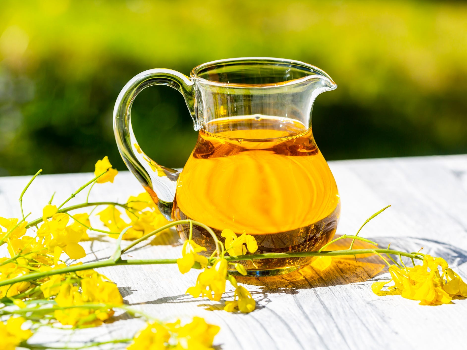 Canola oil in a pouring glass with it's plant around it (the rapeseed plant)