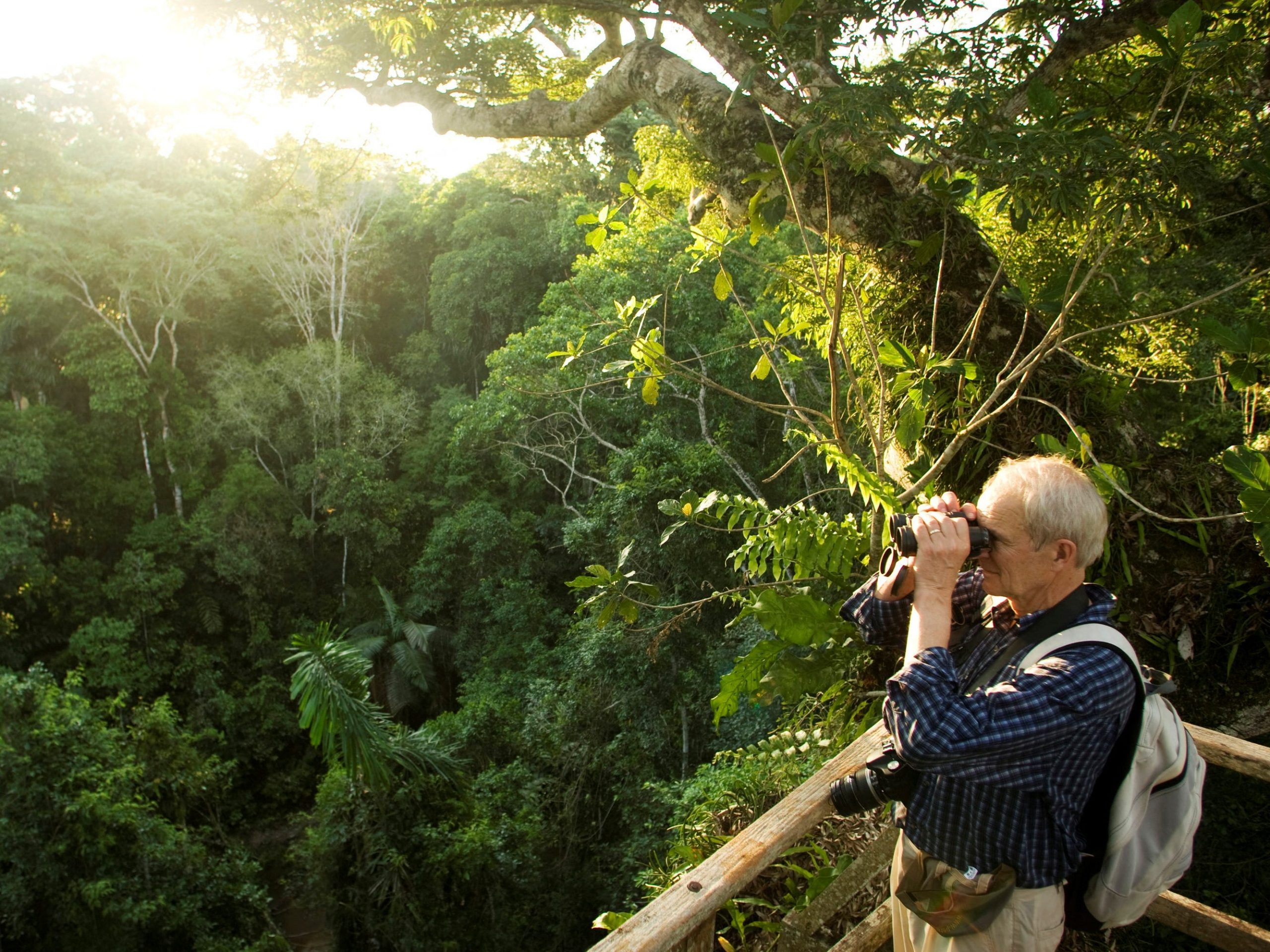 man with binoculars surveys rainforest canopy green trees