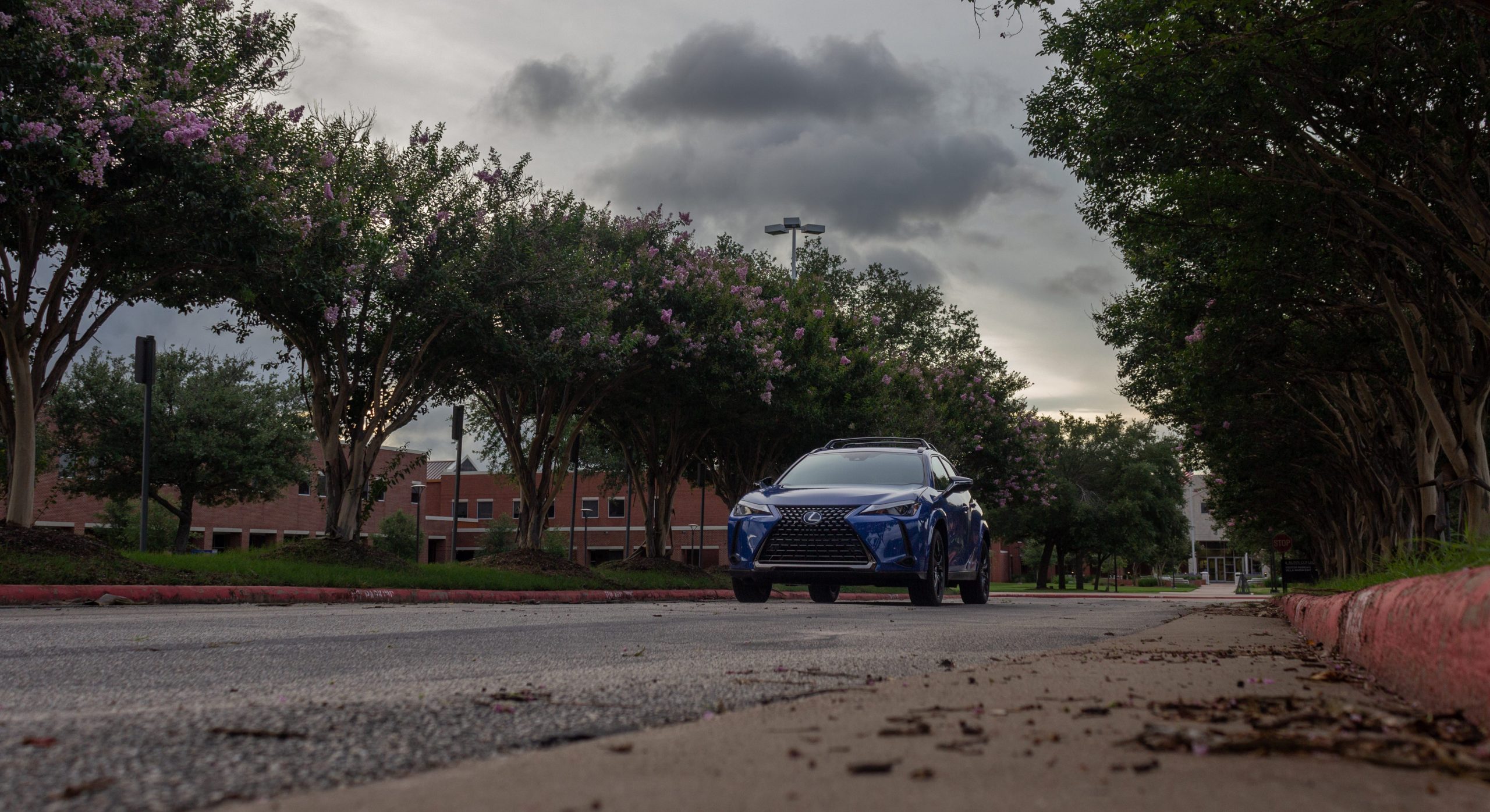 A blue Lexus UX 250h.