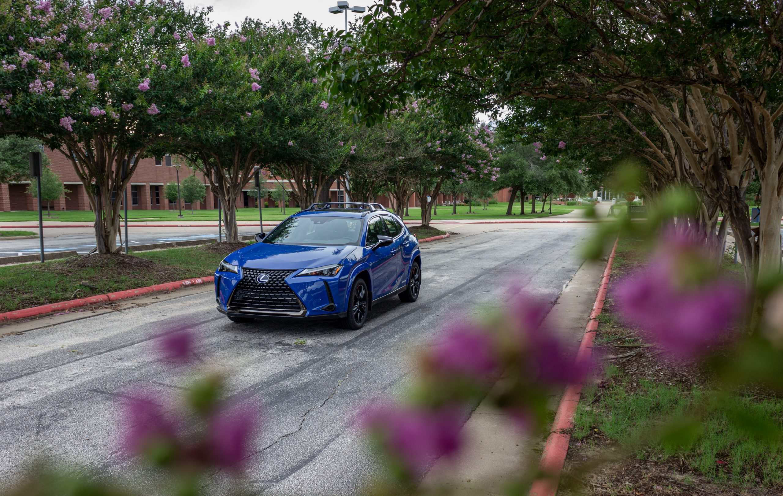 A blue Lexus UX 250h.