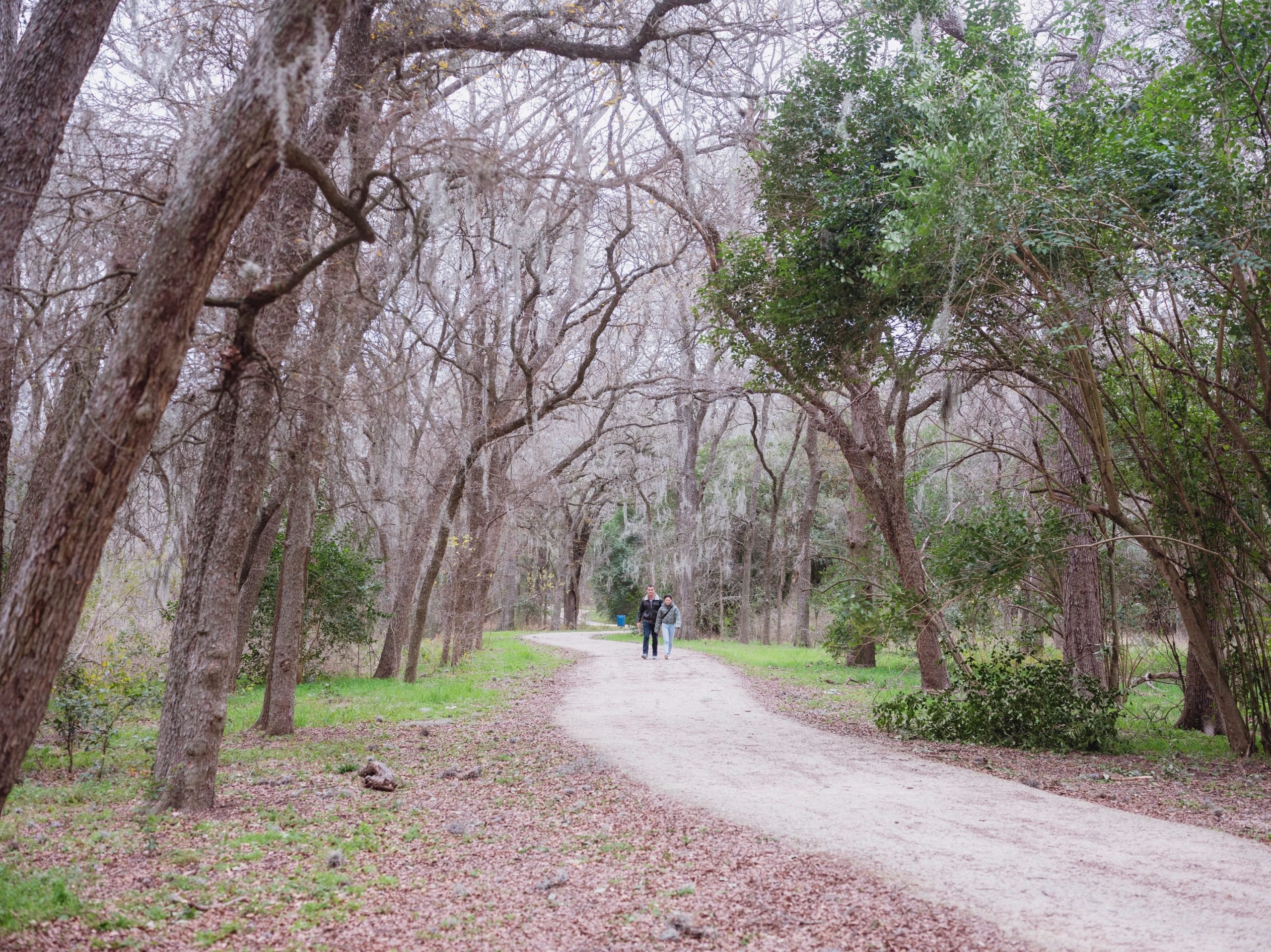 A long dirt path in the middle of a park.