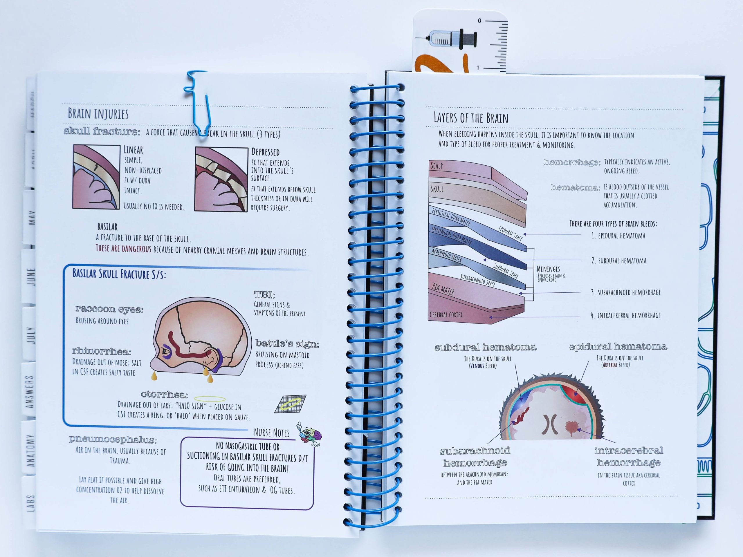 Diagrams inside the RekMed student planner. Jennifer Grooms